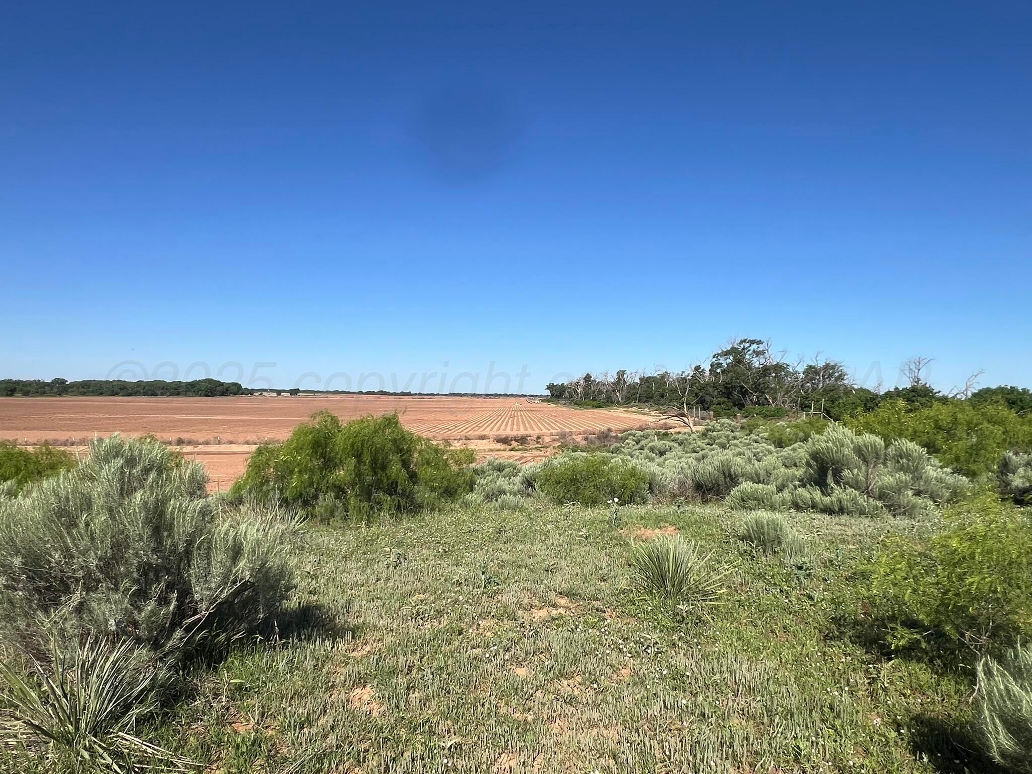 TBD Fm 2472, Lakeview, Texas image 33