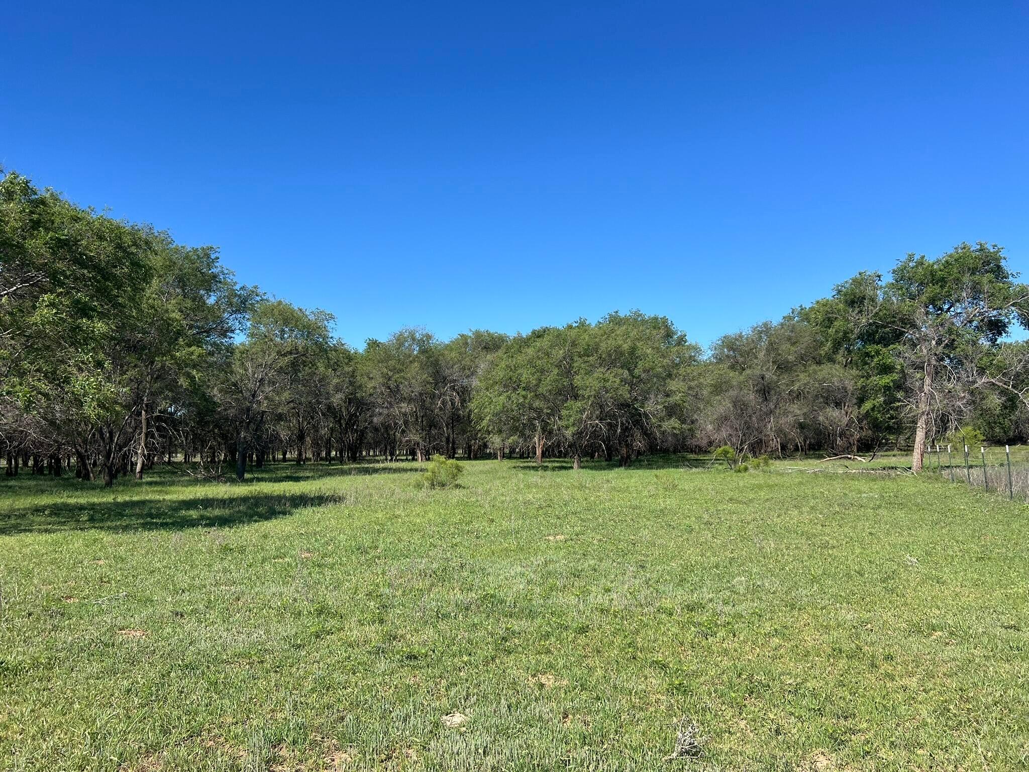 TBD Fm 2472, Lakeview, Texas image 47