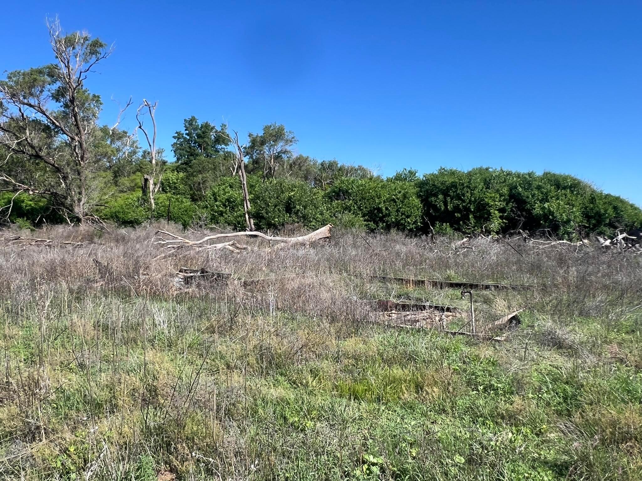 TBD Fm 2472, Lakeview, Texas image 46