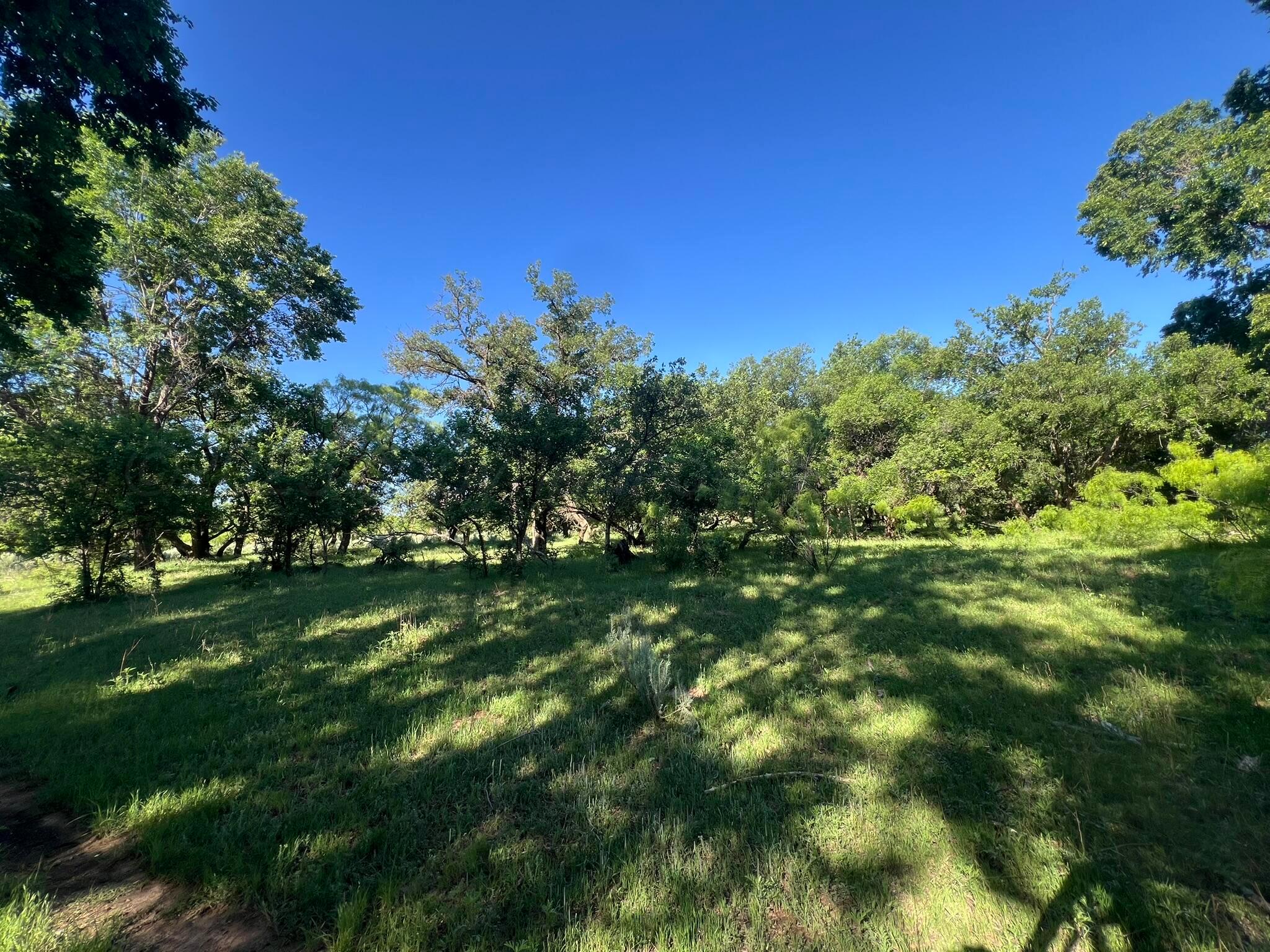 TBD Fm 2472, Lakeview, Texas image 4
