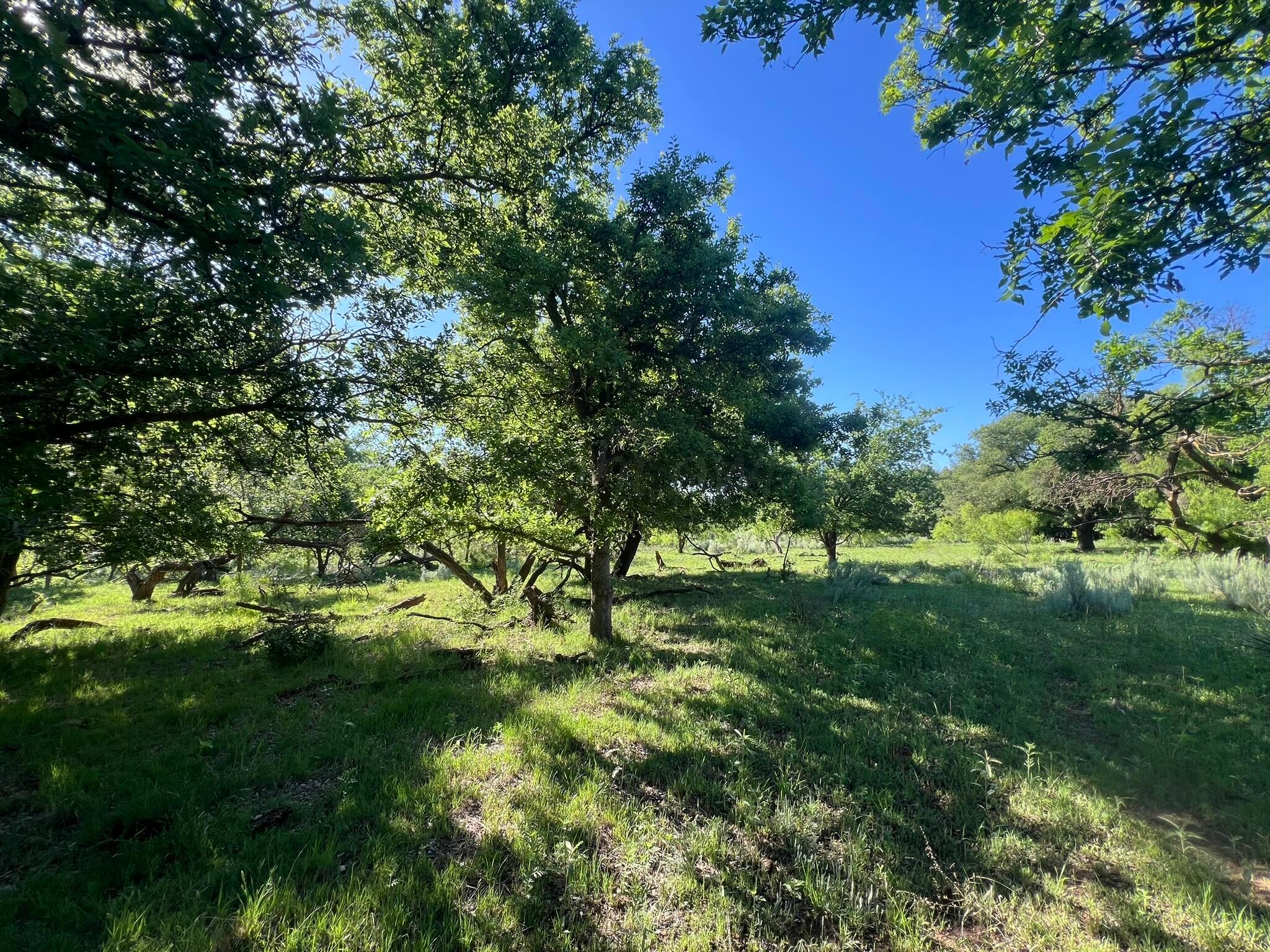 TBD Fm 2472, Lakeview, Texas image 15