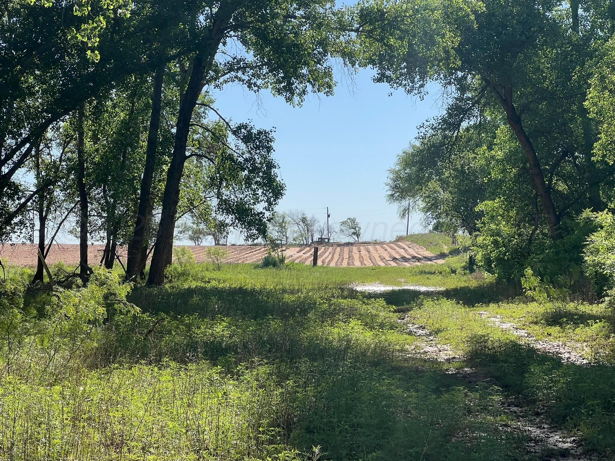 TBD Fm 2472, Lakeview, Texas image 18