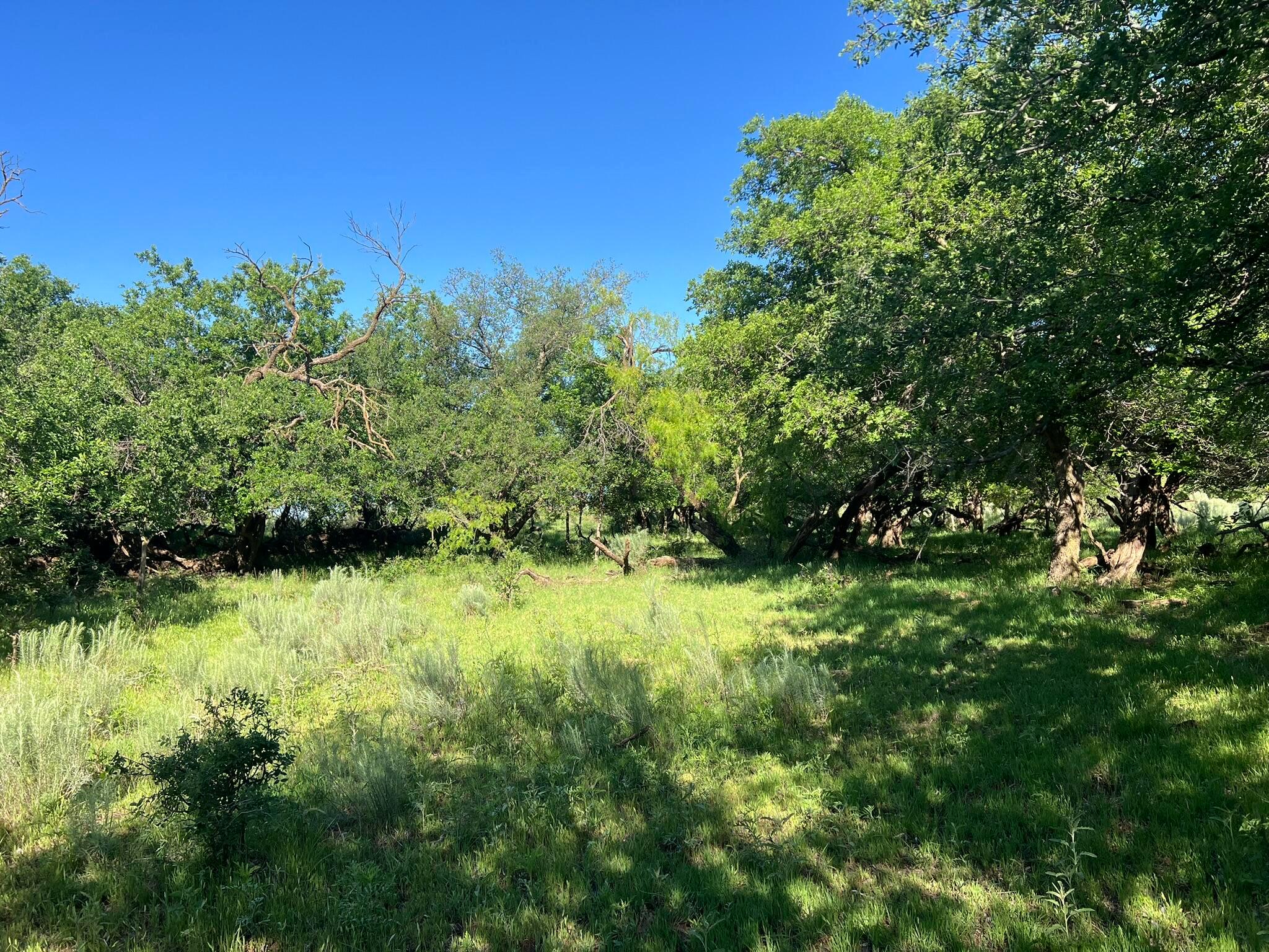 TBD Fm 2472, Lakeview, Texas image 14