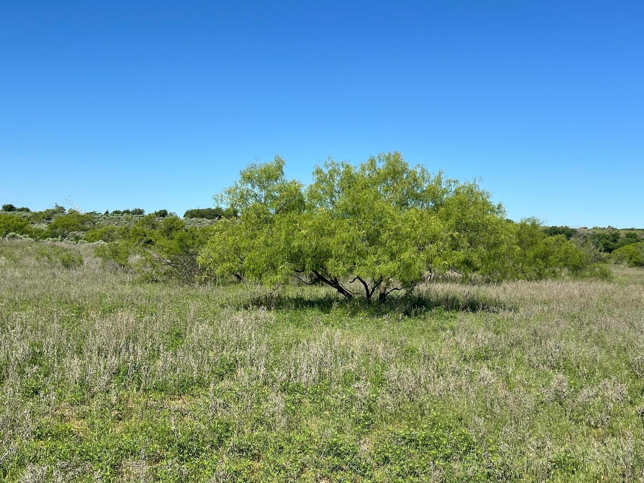TBD Fm 2472, Lakeview, Texas image 40