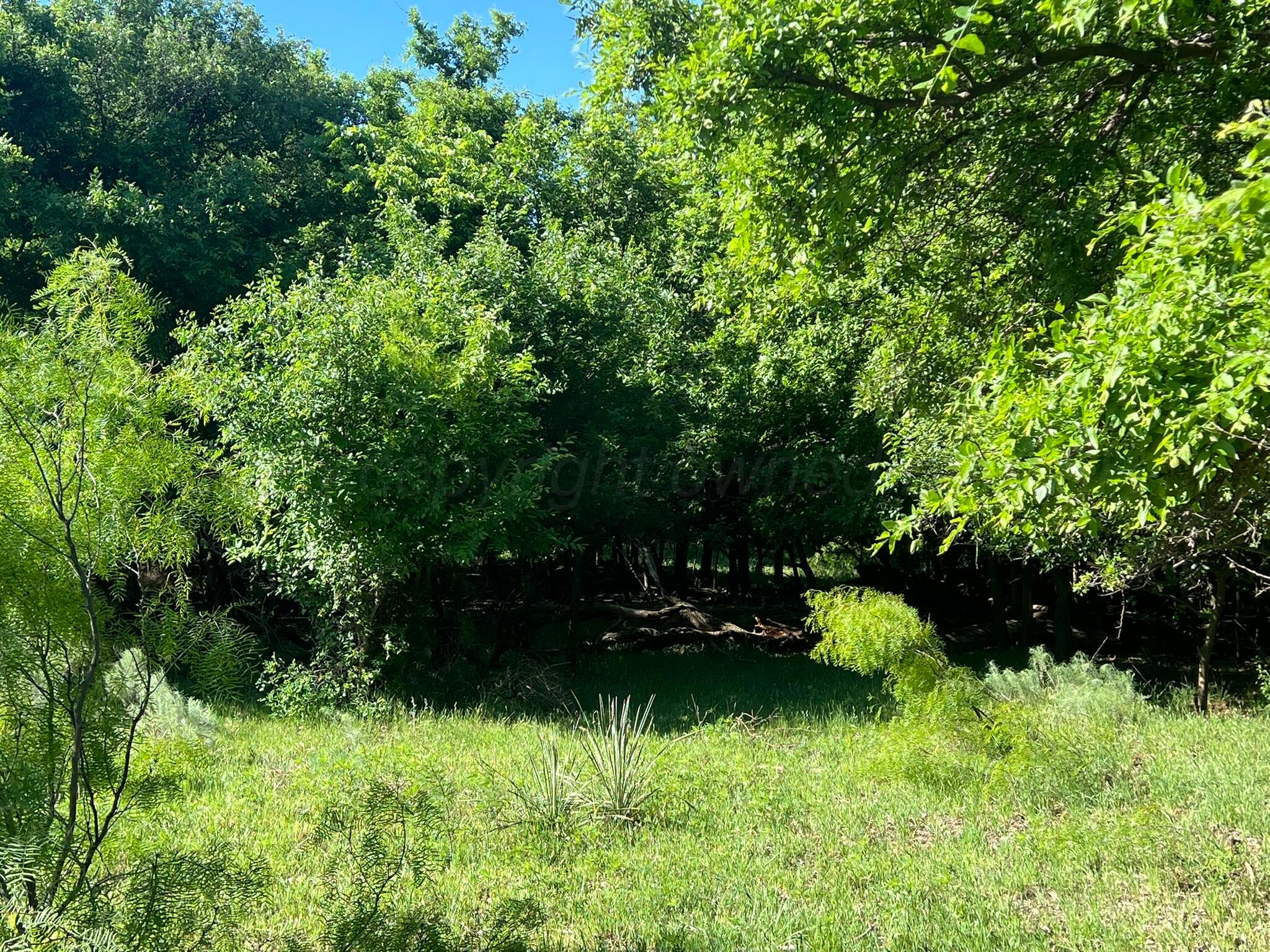 TBD Fm 2472, Lakeview, Texas image 17
