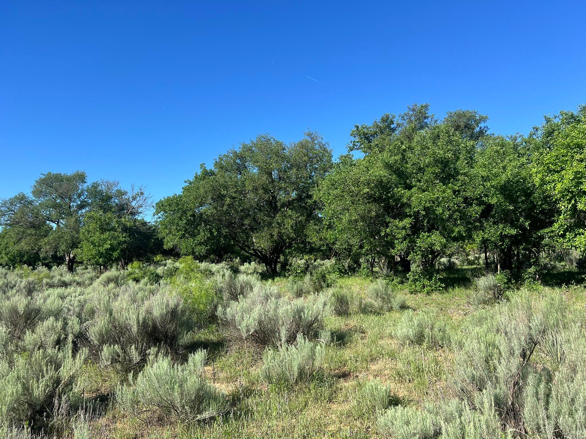 TBD Fm 2472, Lakeview, Texas image 7