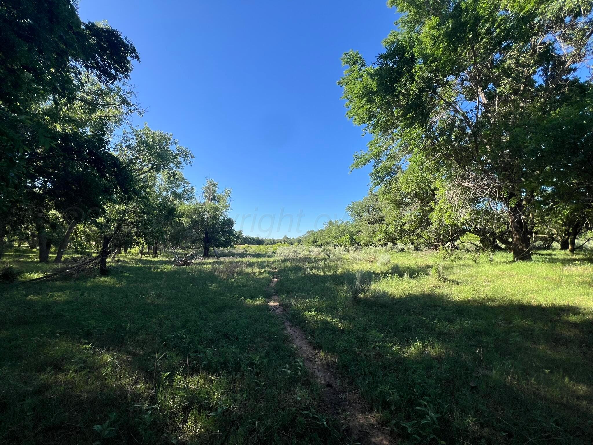 TBD Fm 2472, Lakeview, Texas image 5