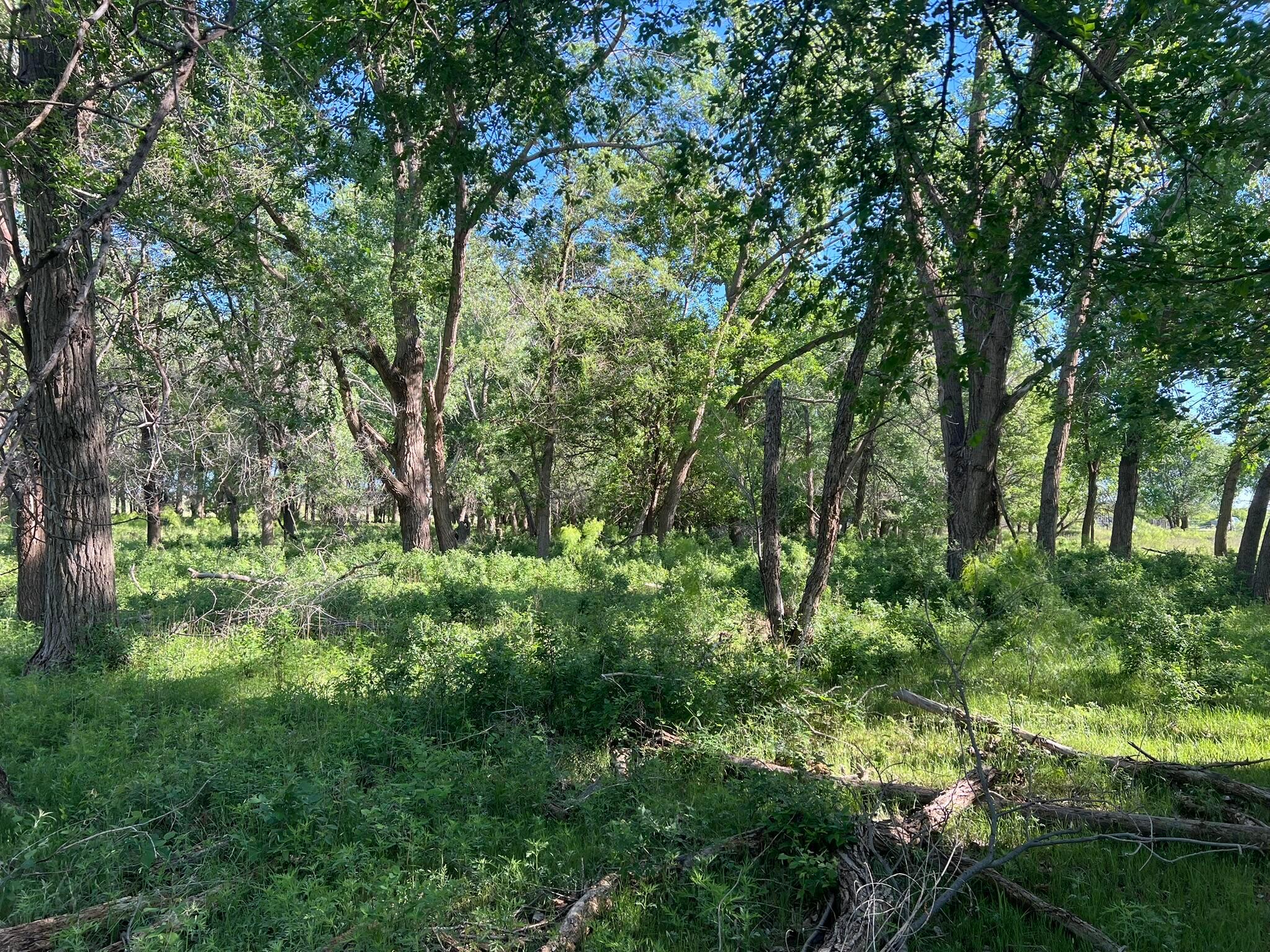 TBD Fm 2472, Lakeview, Texas image 10