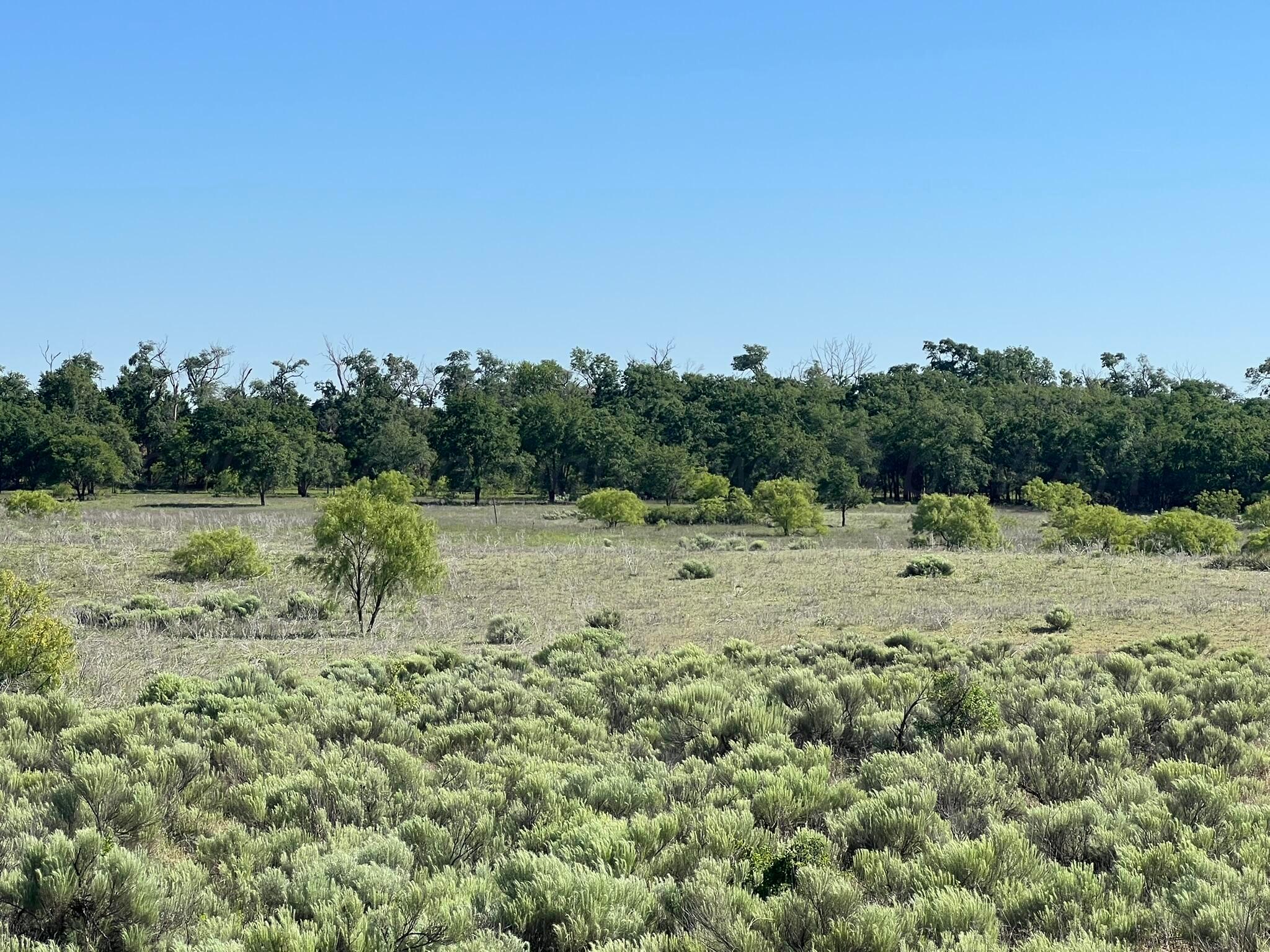 TBD Fm 2472, Lakeview, Texas image 36