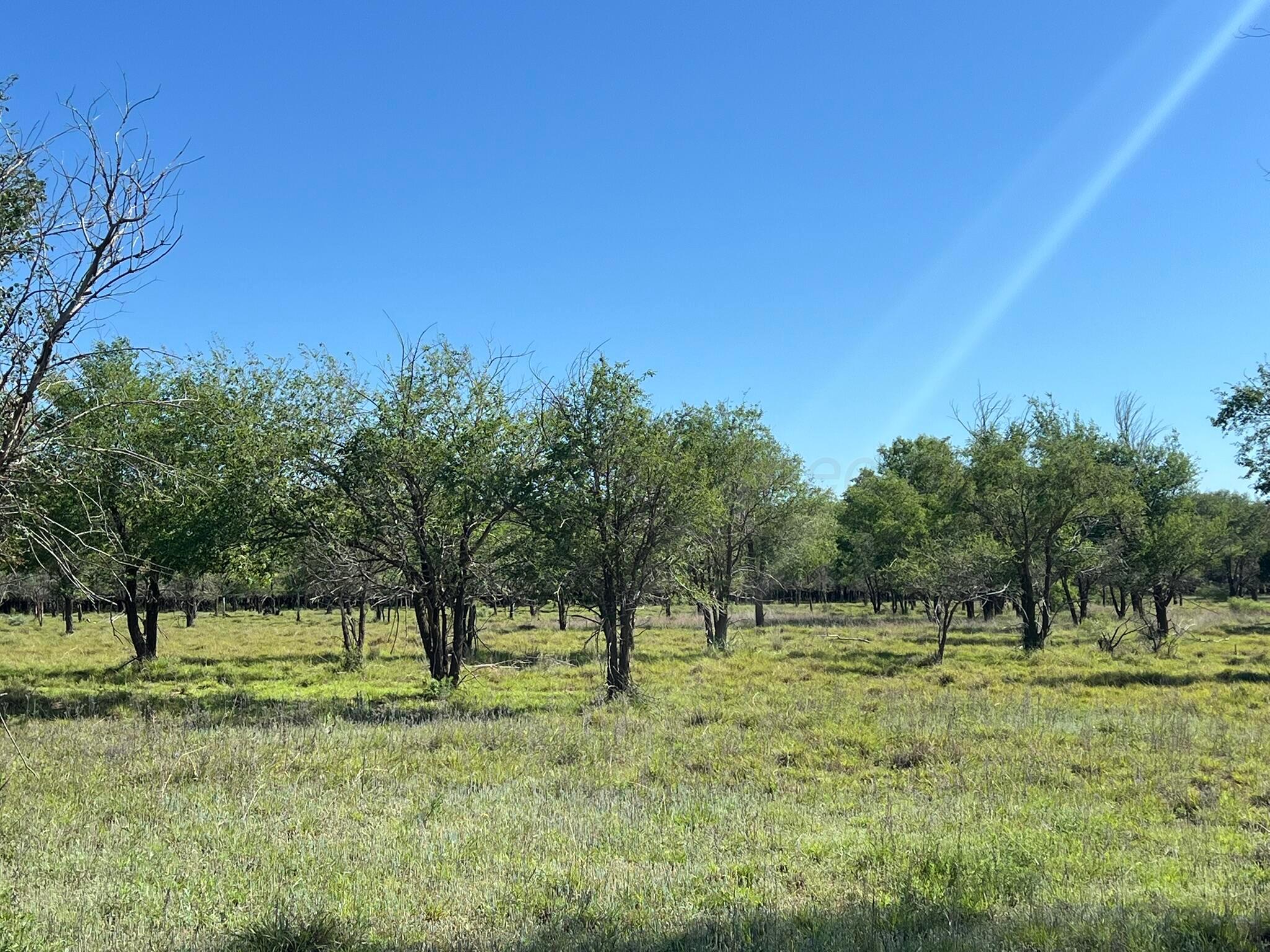 TBD Fm 2472, Lakeview, Texas image 48