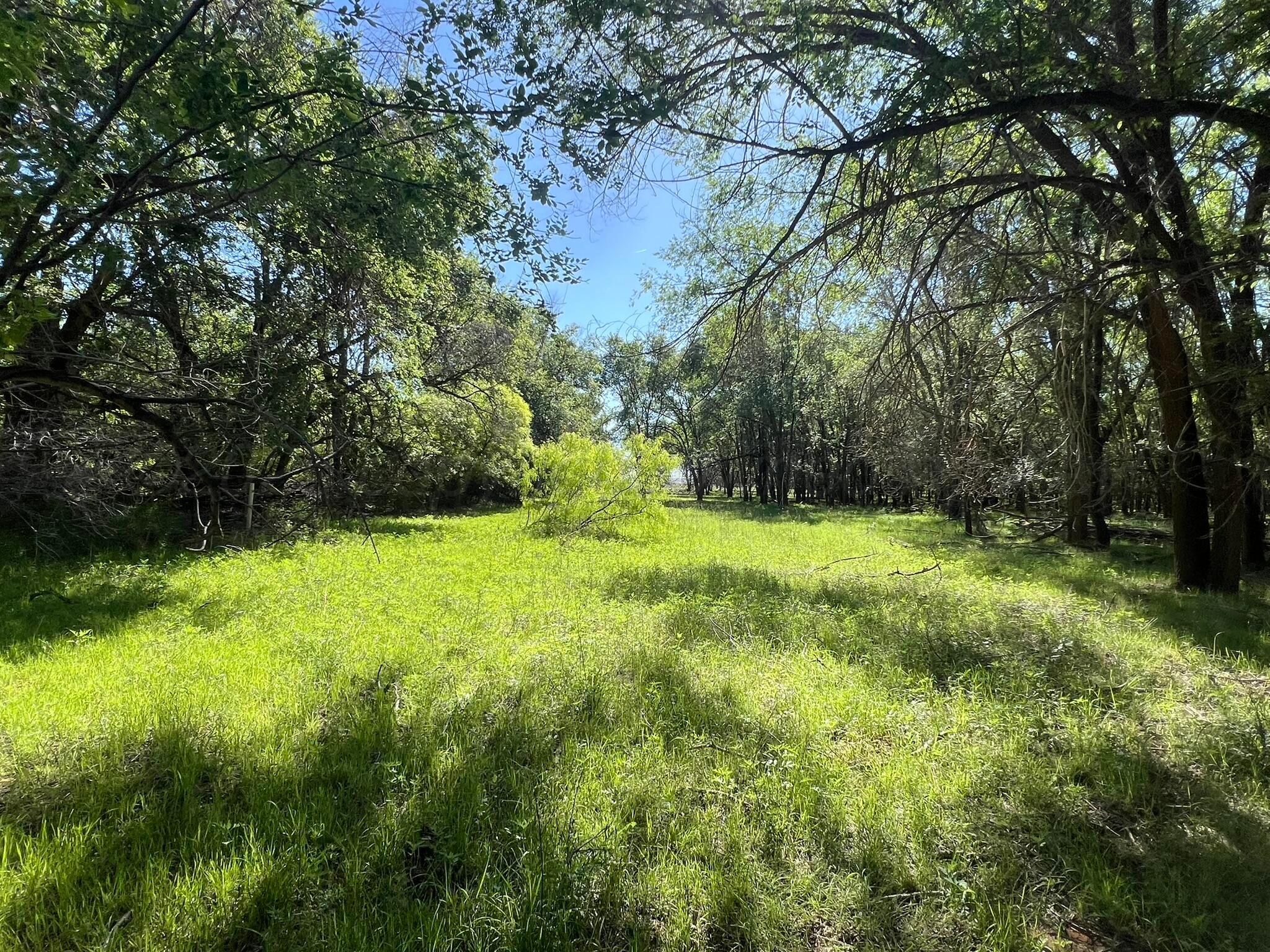 TBD Fm 2472, Lakeview, Texas image 45