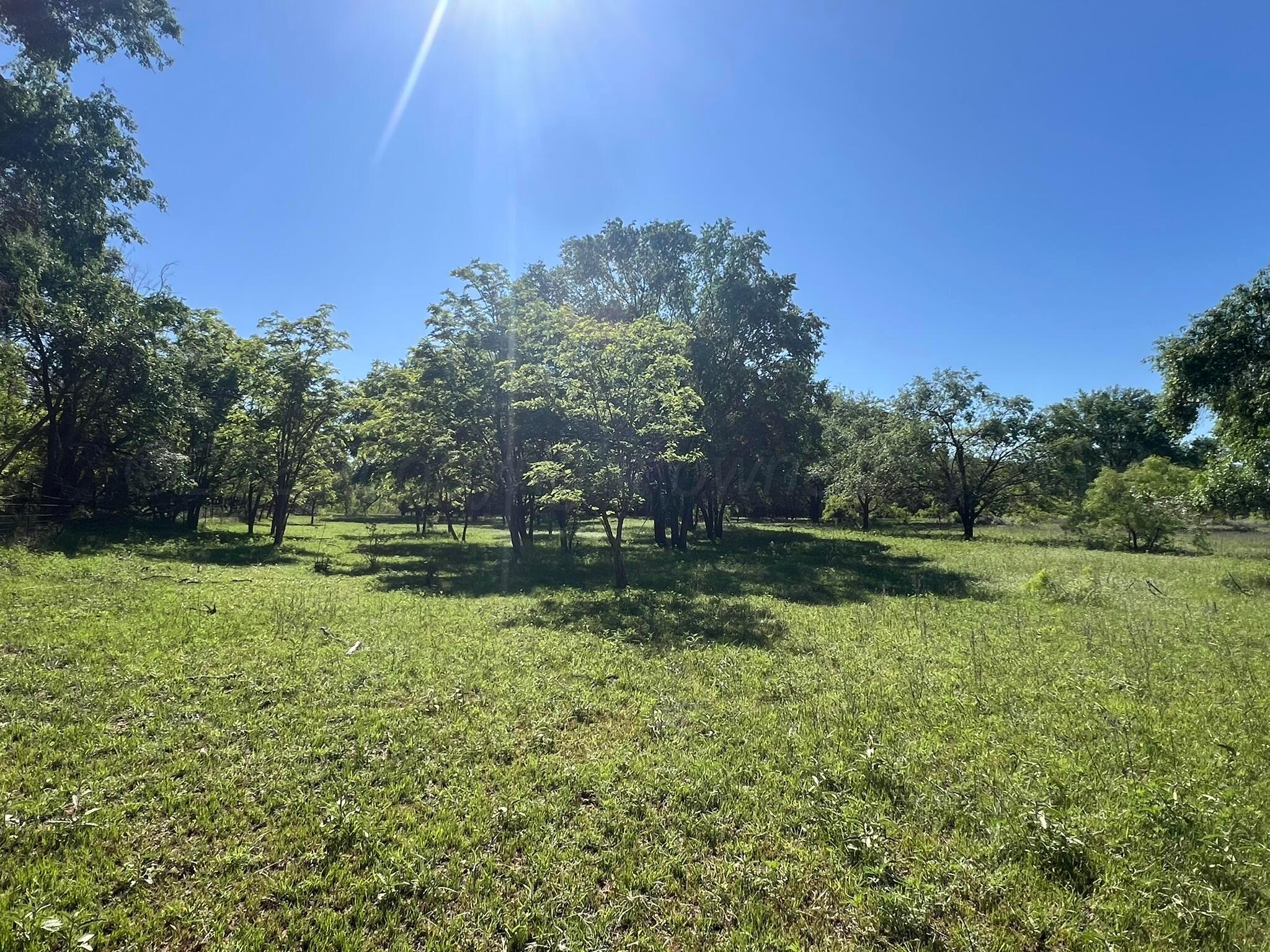 TBD Fm 2472, Lakeview, Texas image 43