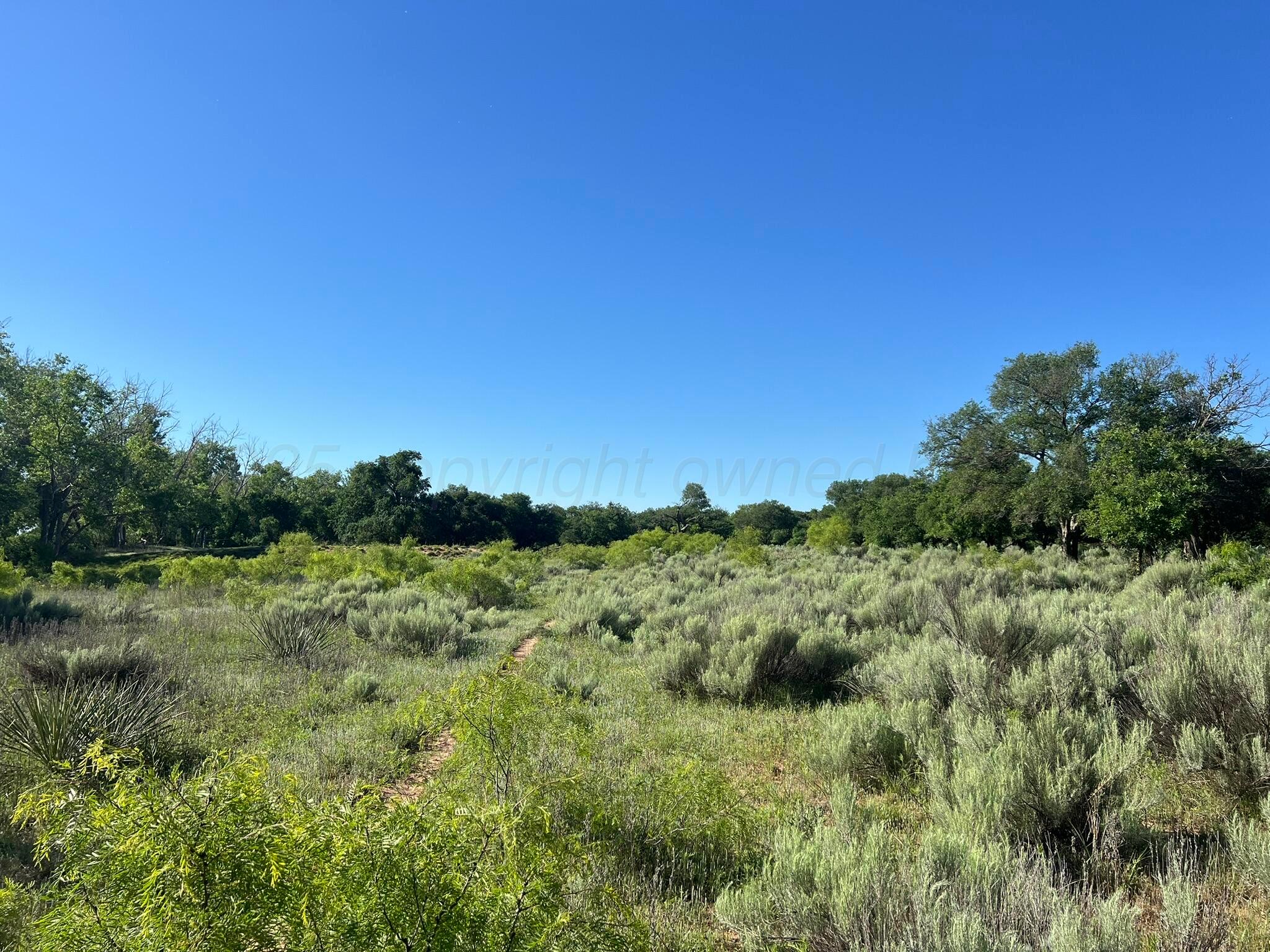 TBD Fm 2472, Lakeview, Texas image 1