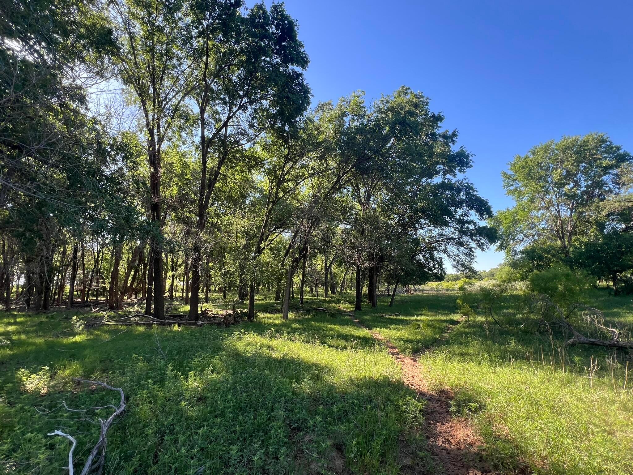 TBD Fm 2472, Lakeview, Texas image 3