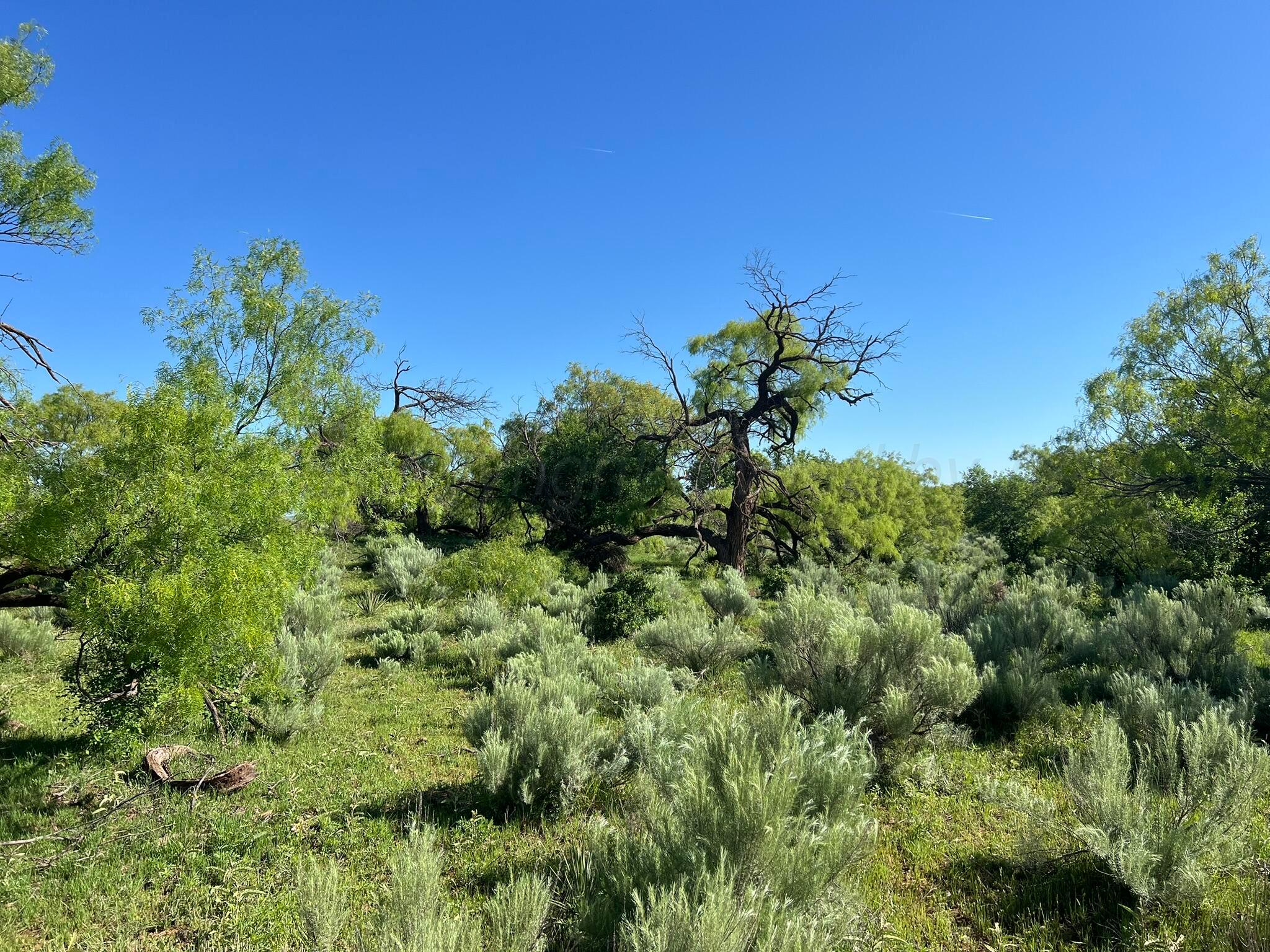 TBD Fm 2472, Lakeview, Texas image 31
