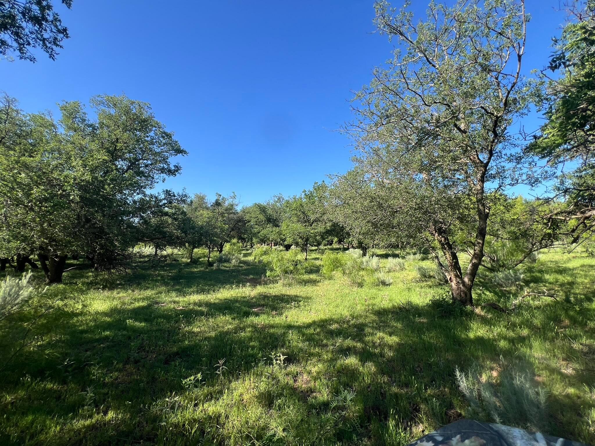 TBD Fm 2472, Lakeview, Texas image 13