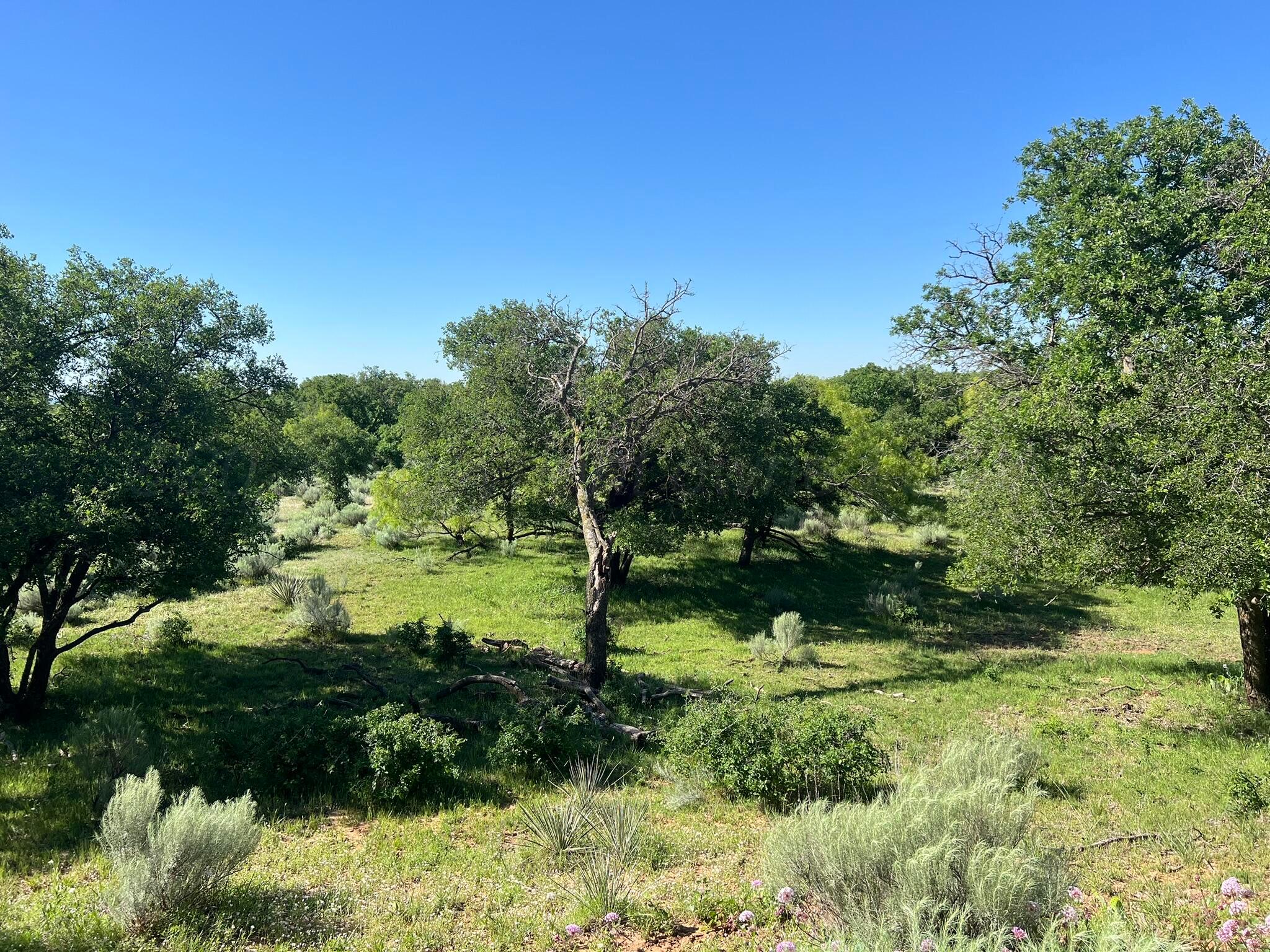 TBD Fm 2472, Lakeview, Texas image 37