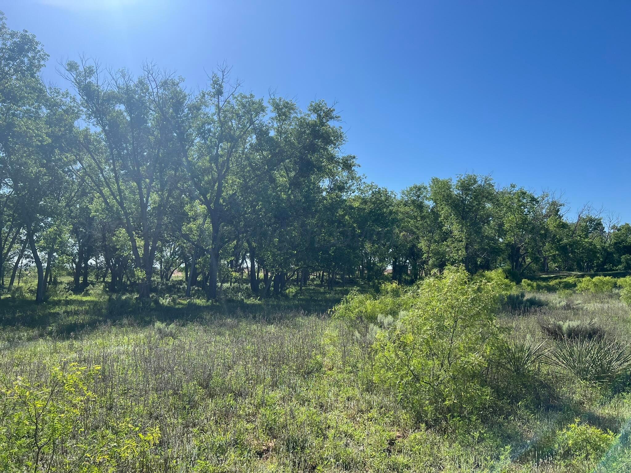 TBD Fm 2472, Lakeview, Texas image 9