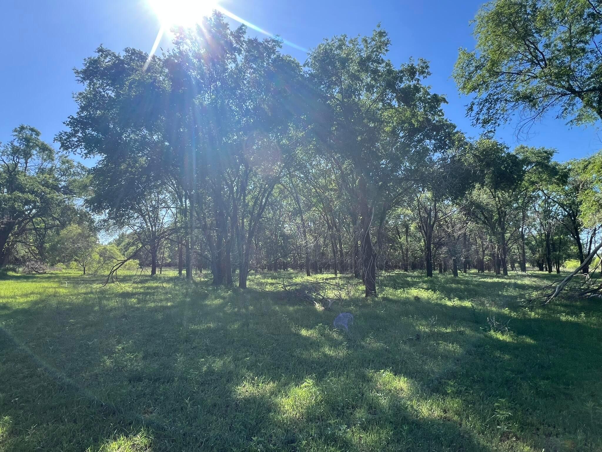 TBD Fm 2472, Lakeview, Texas image 44