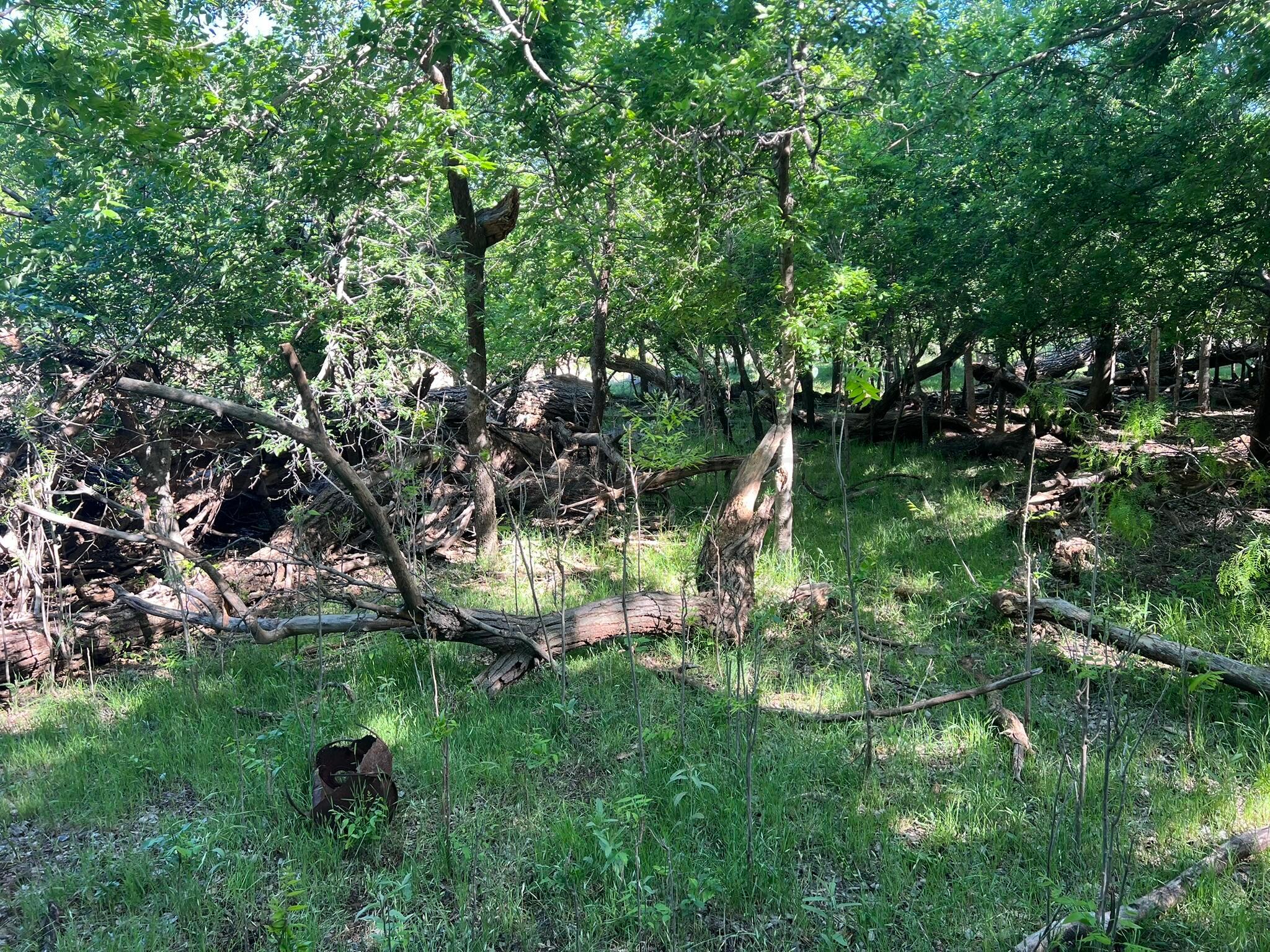 TBD Fm 2472, Lakeview, Texas image 23