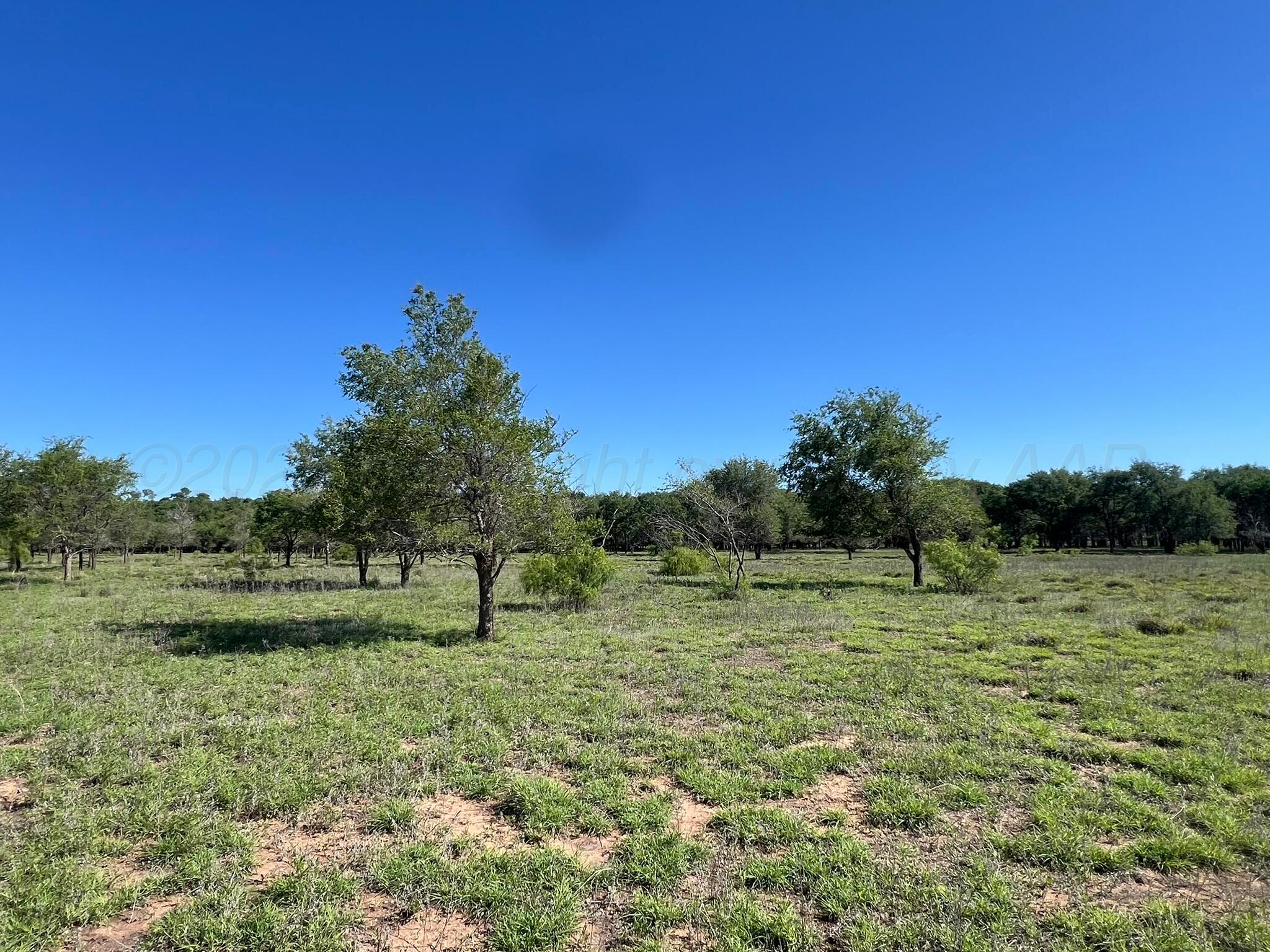 TBD Fm 2472, Lakeview, Texas image 49