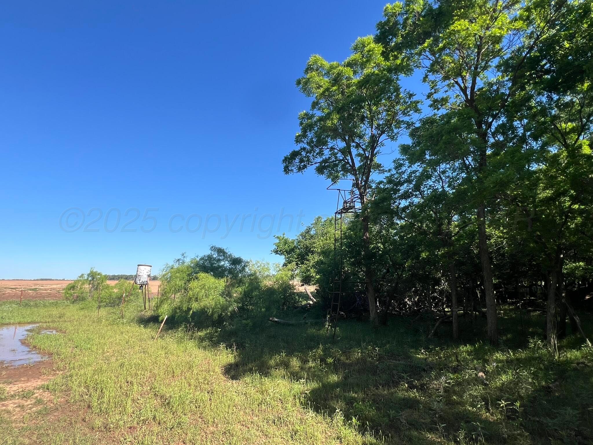 TBD Fm 2472, Lakeview, Texas image 20