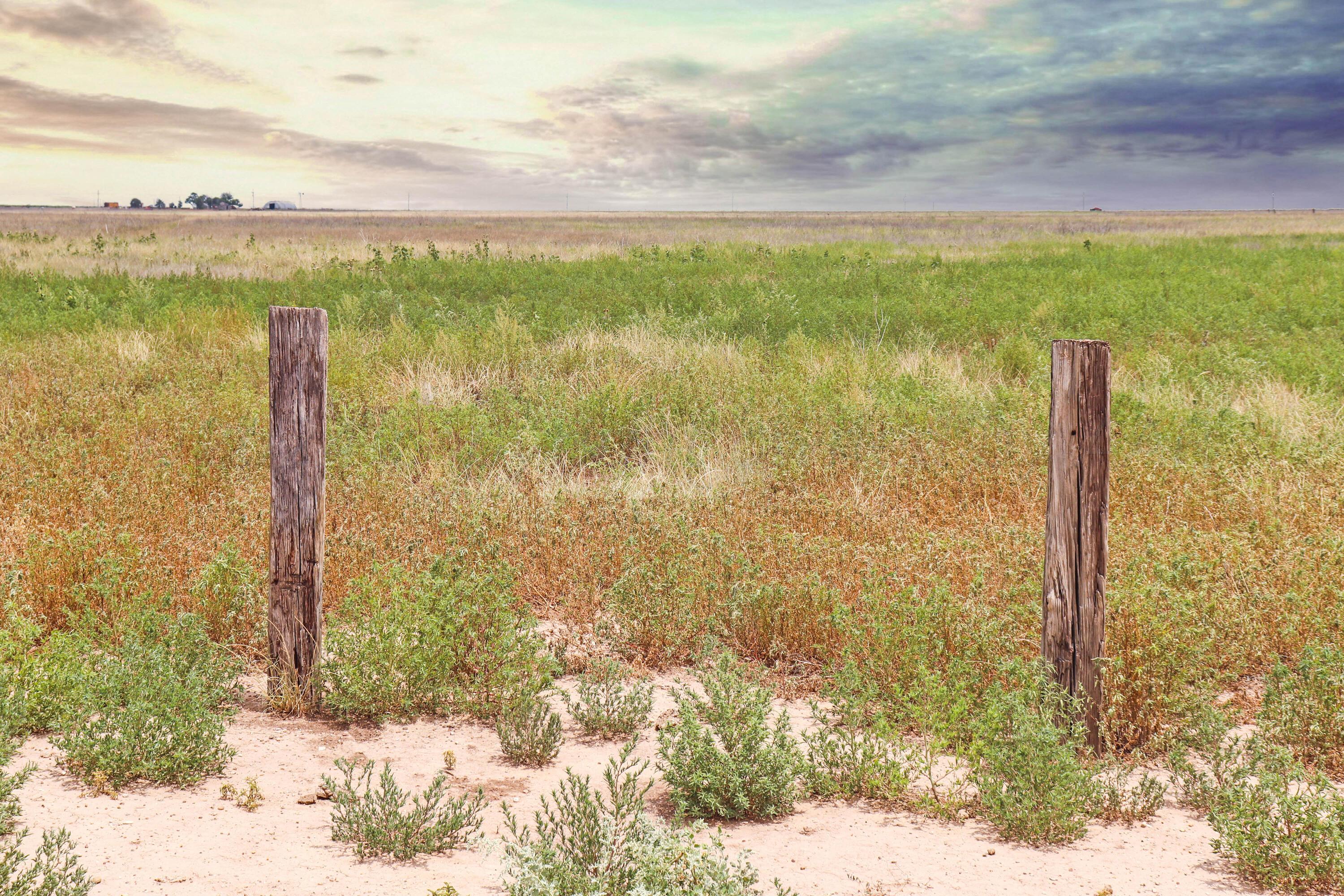 Tract 2 Fm 2587, Wildorado, Texas image 10