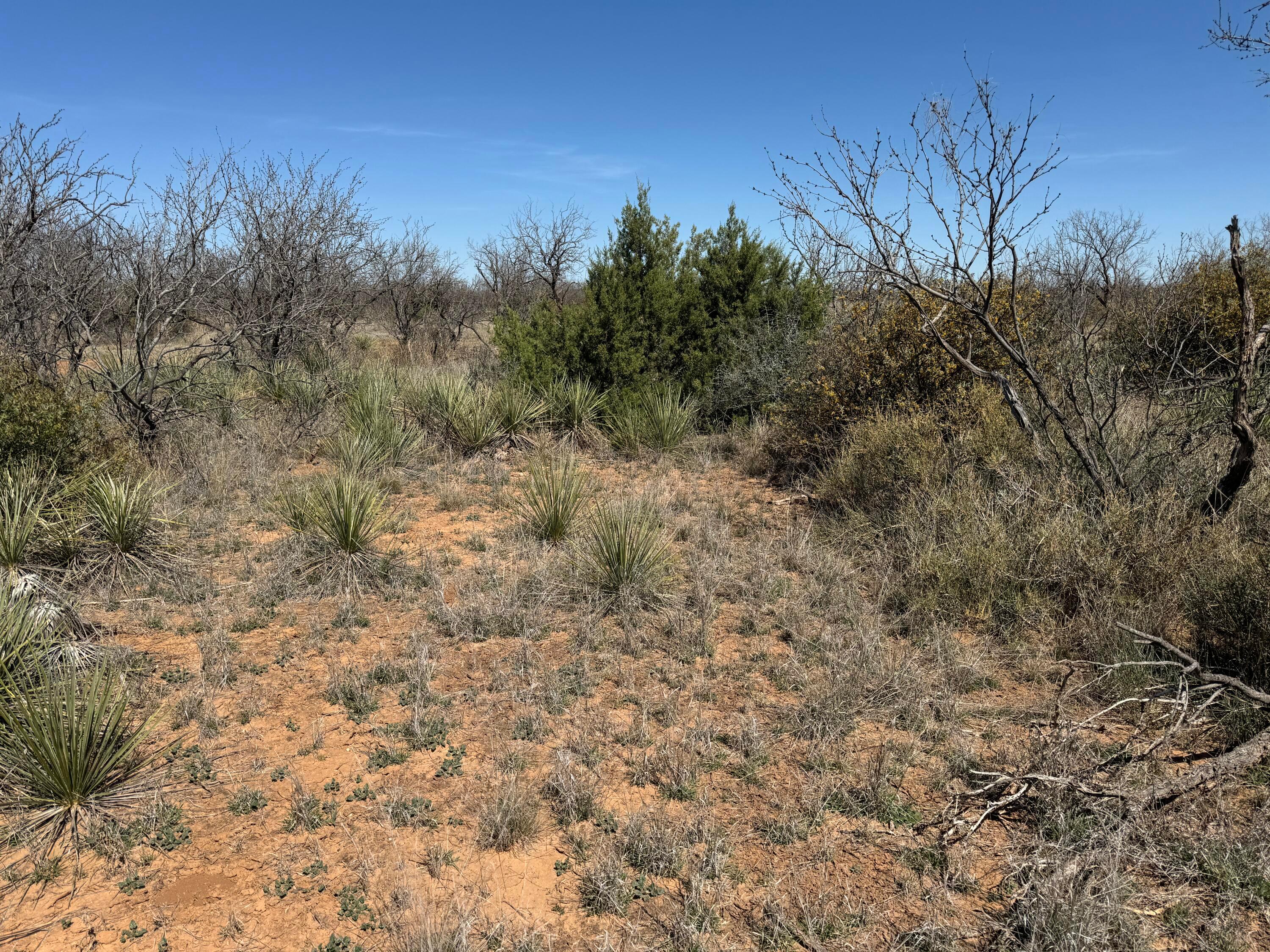 Lake Alan Henry 95 Ranch, Lubbock, Texas image 8