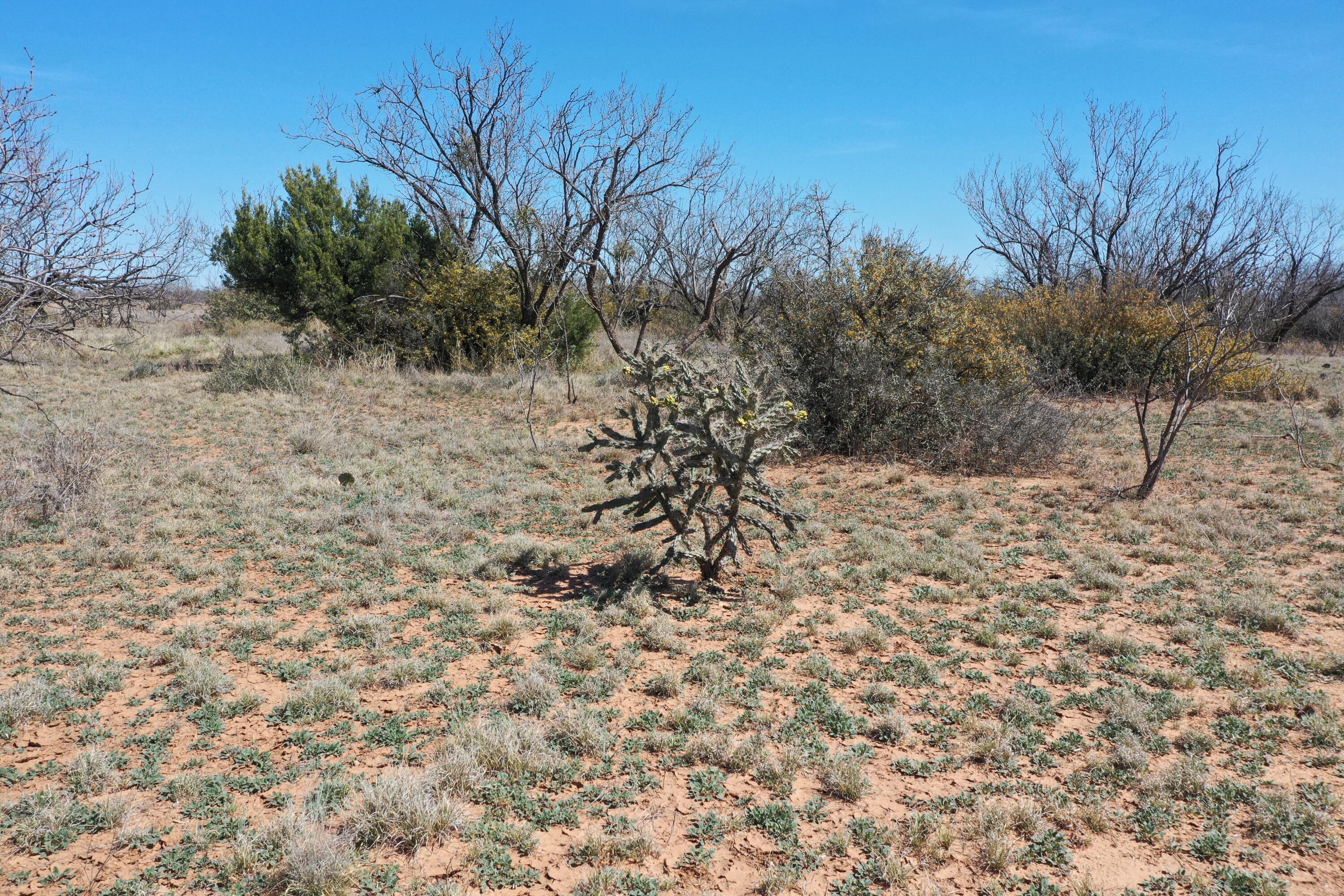 Lake Alan Henry 95 Ranch, Lubbock, Texas image 19