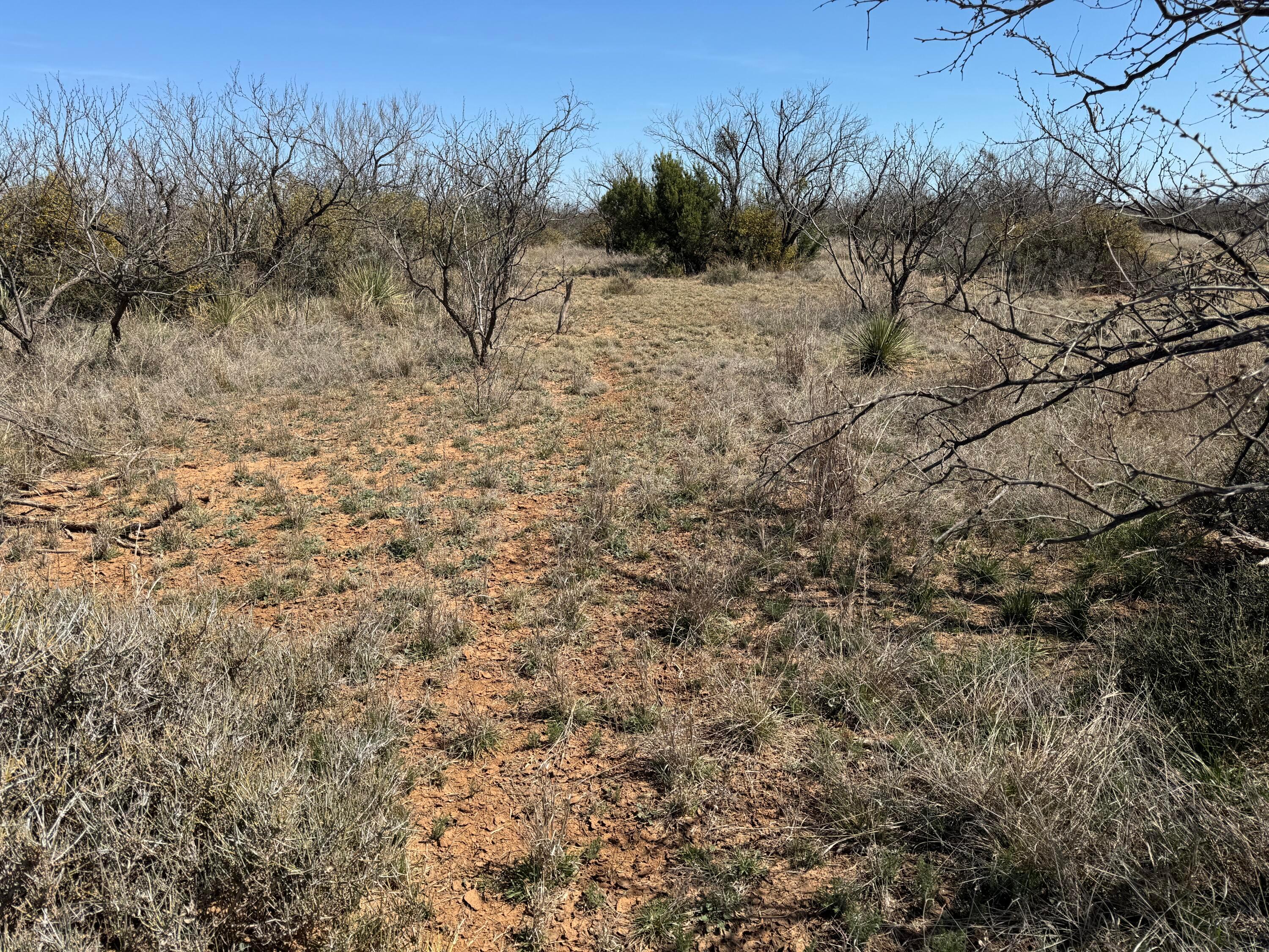 Lake Alan Henry 95 Ranch, Lubbock, Texas image 10