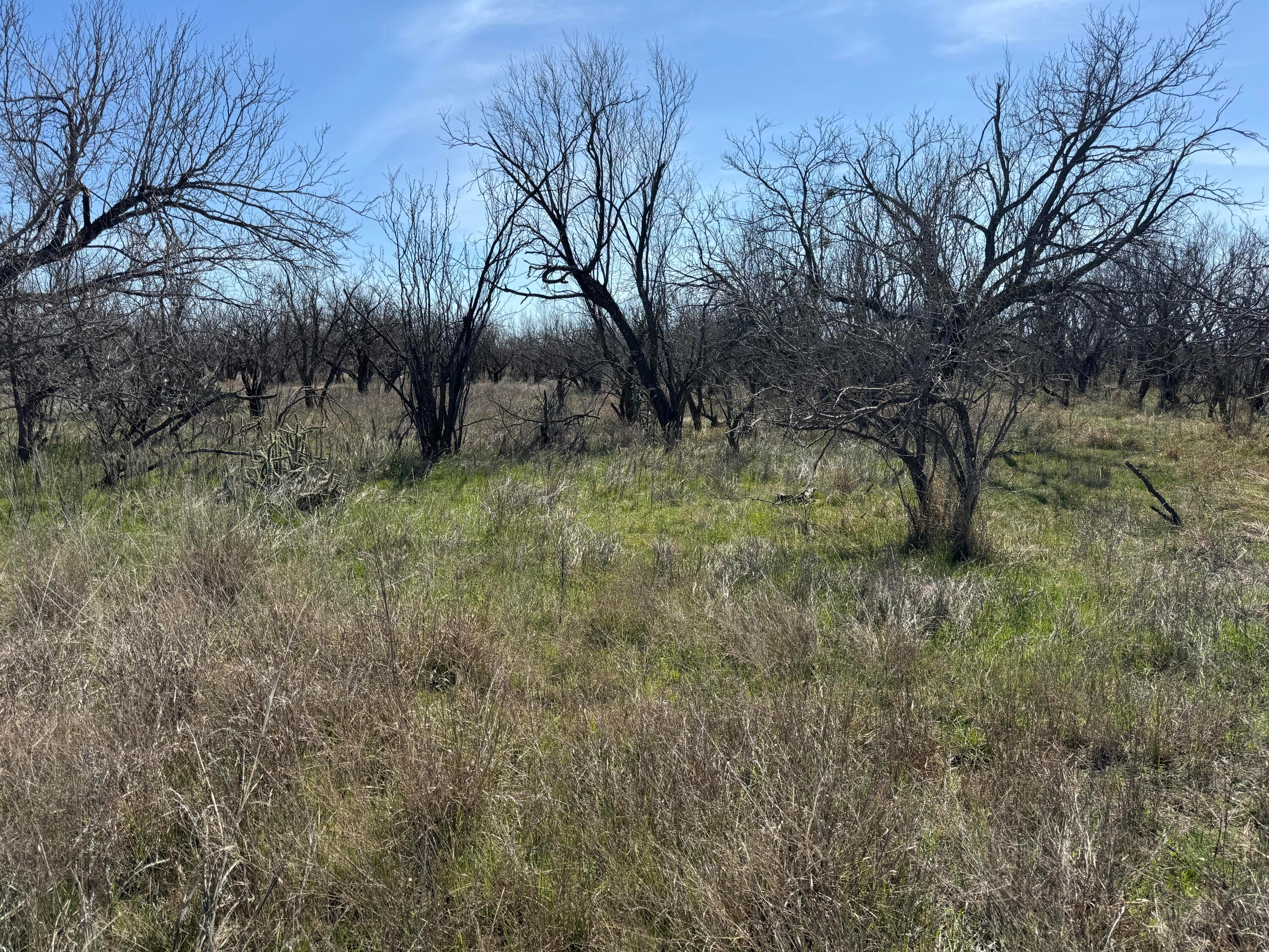 Lake Alan Henry 95 Ranch, Lubbock, Texas image 38