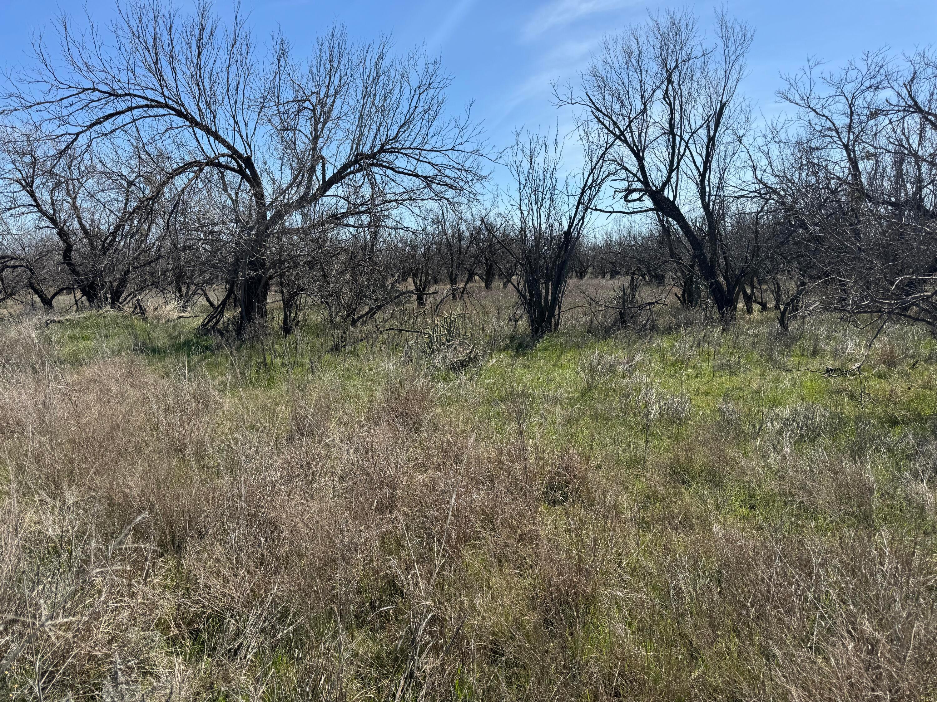 Lake Alan Henry 95 Ranch, Lubbock, Texas image 36