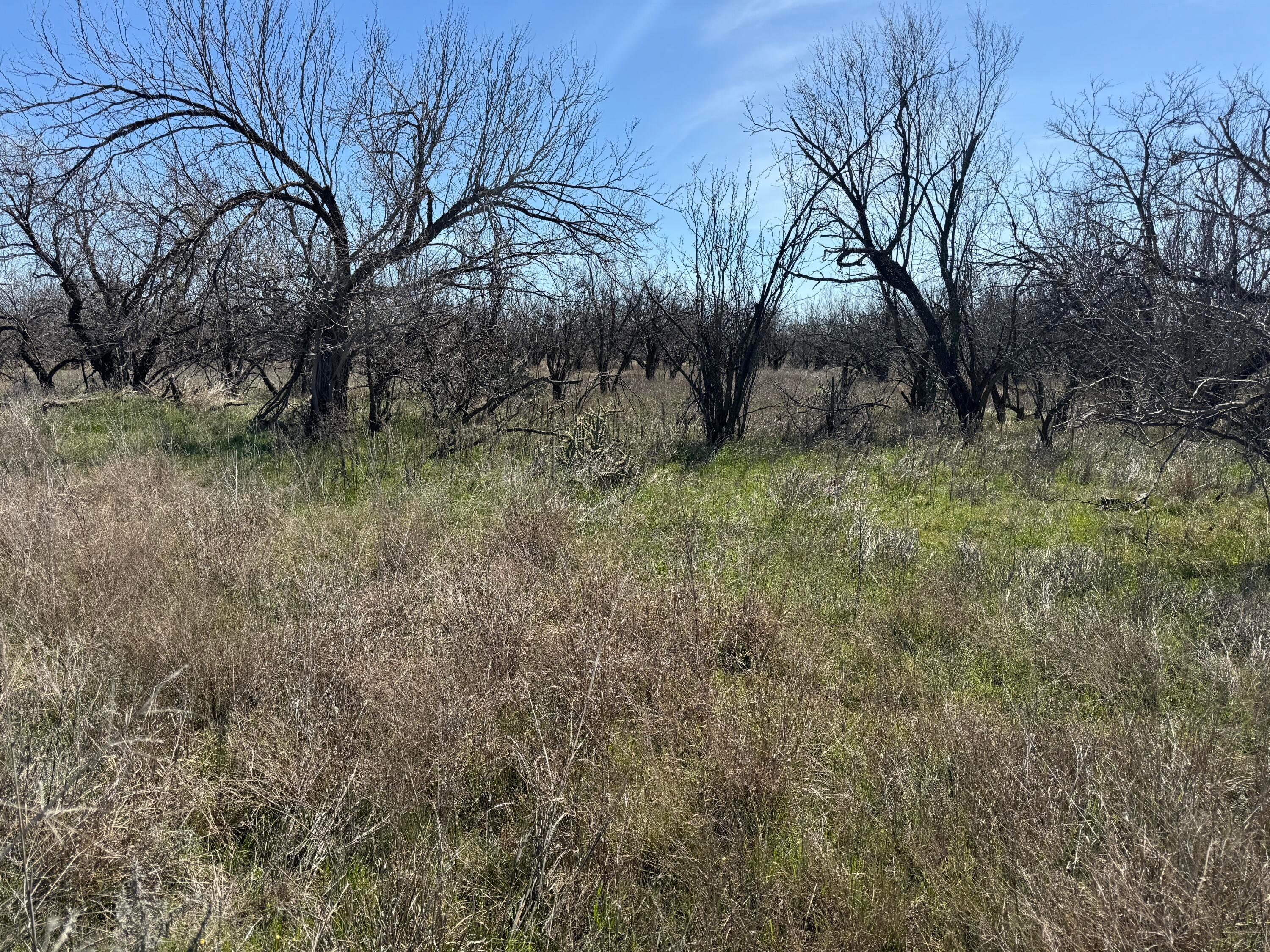 Lake Alan Henry 95 Ranch, Lubbock, Texas image 37