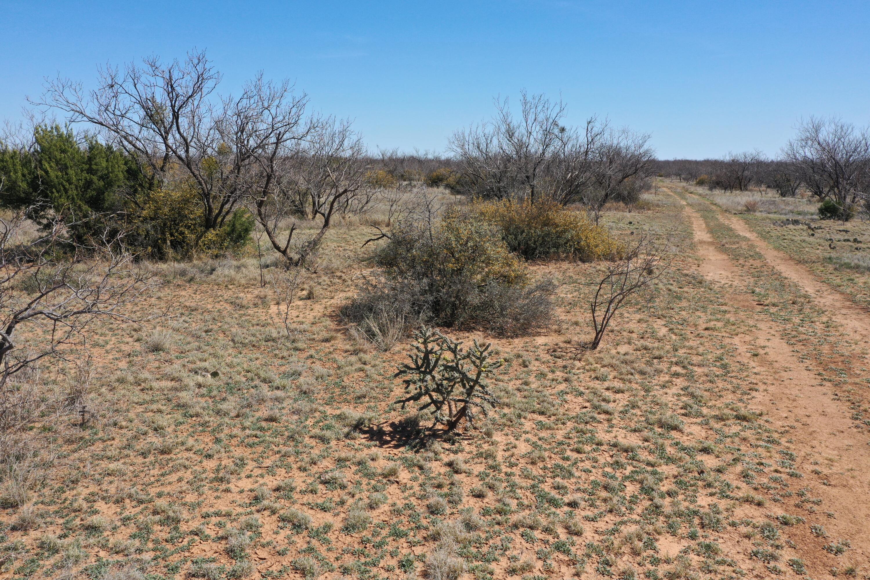 Lake Alan Henry 95 Ranch, Lubbock, Texas image 6