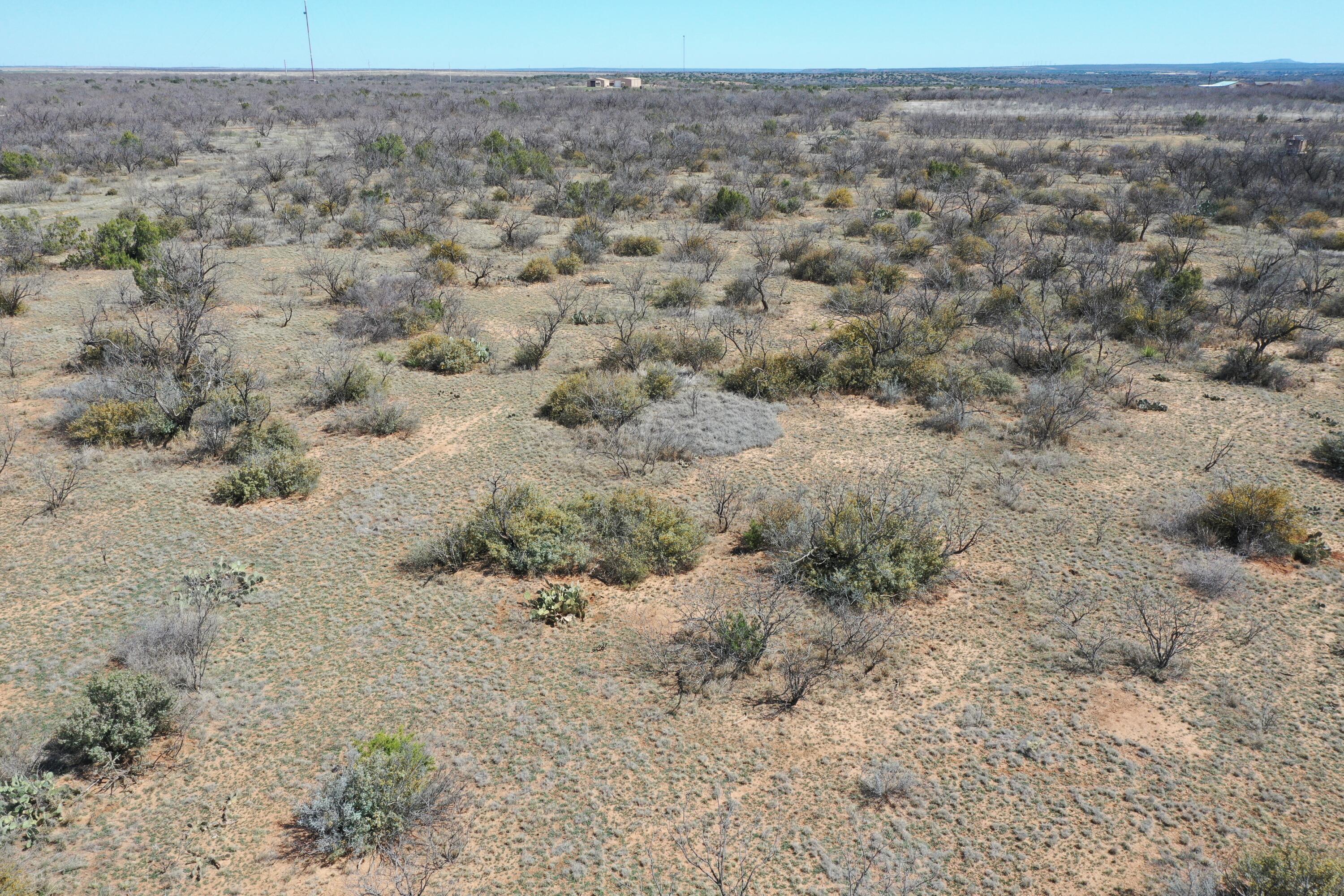 Lake Alan Henry 95 Ranch, Lubbock, Texas image 4