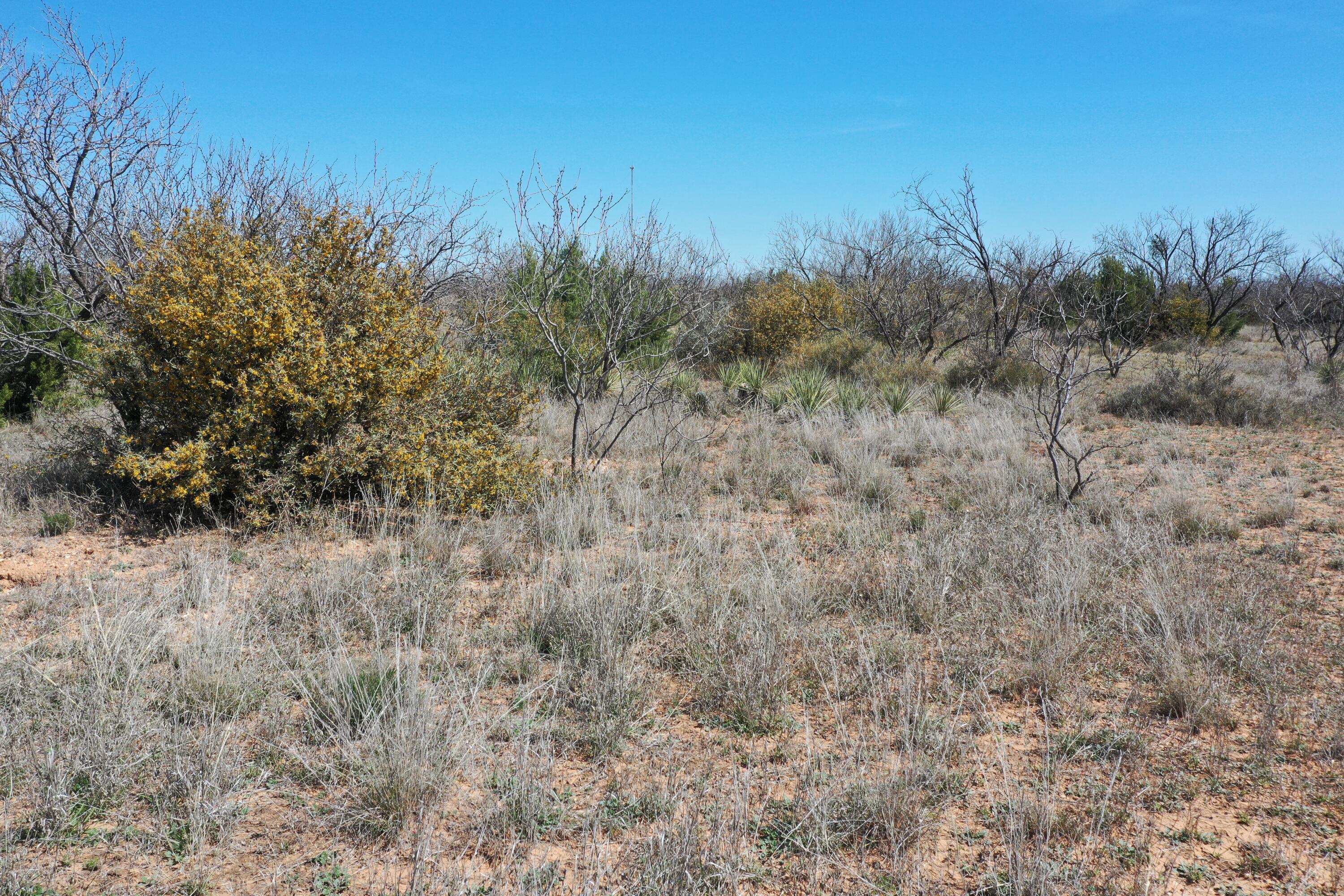 Lake Alan Henry 95 Ranch, Lubbock, Texas image 5