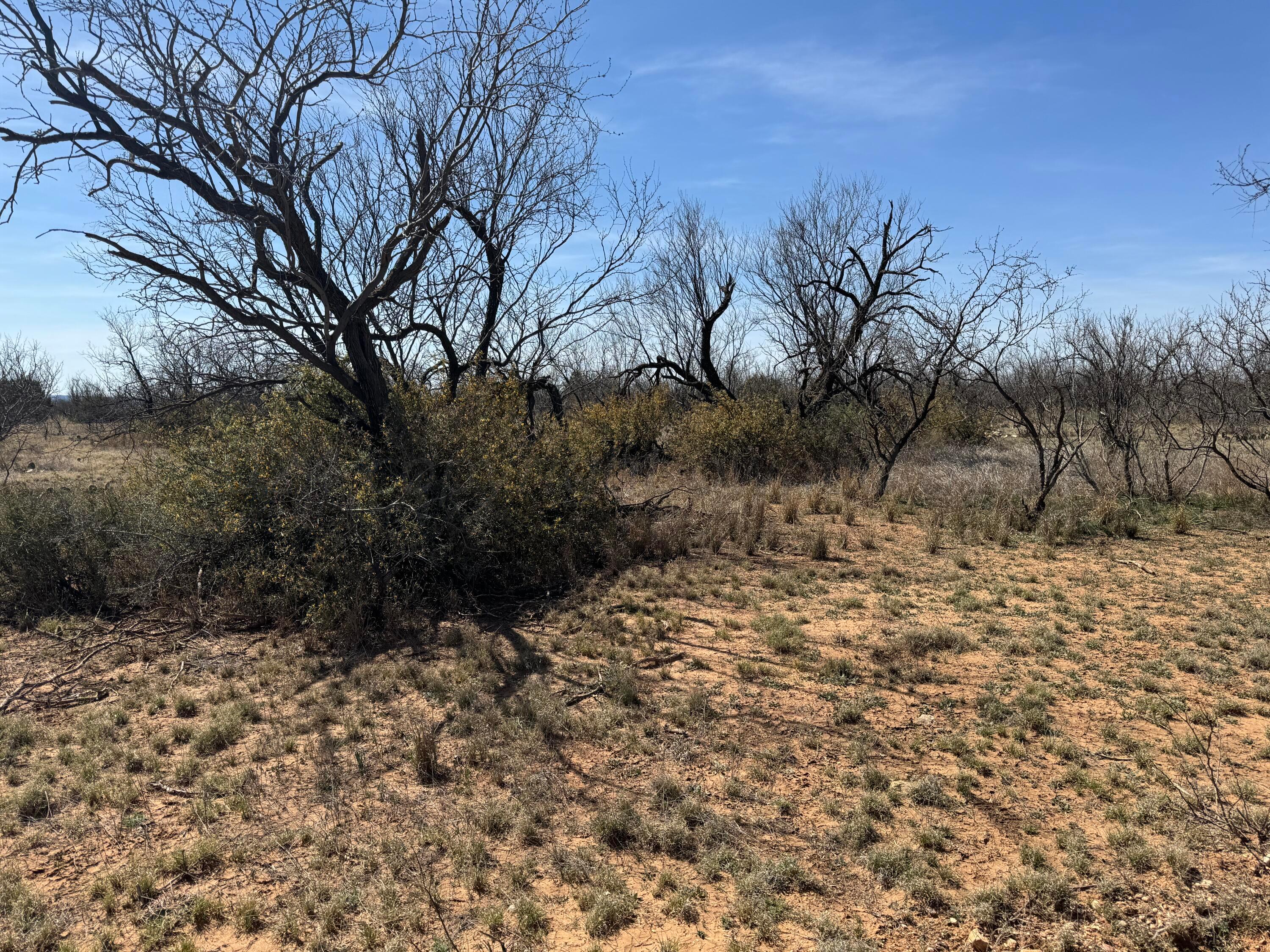 Lake Alan Henry 95 Ranch, Lubbock, Texas image 35