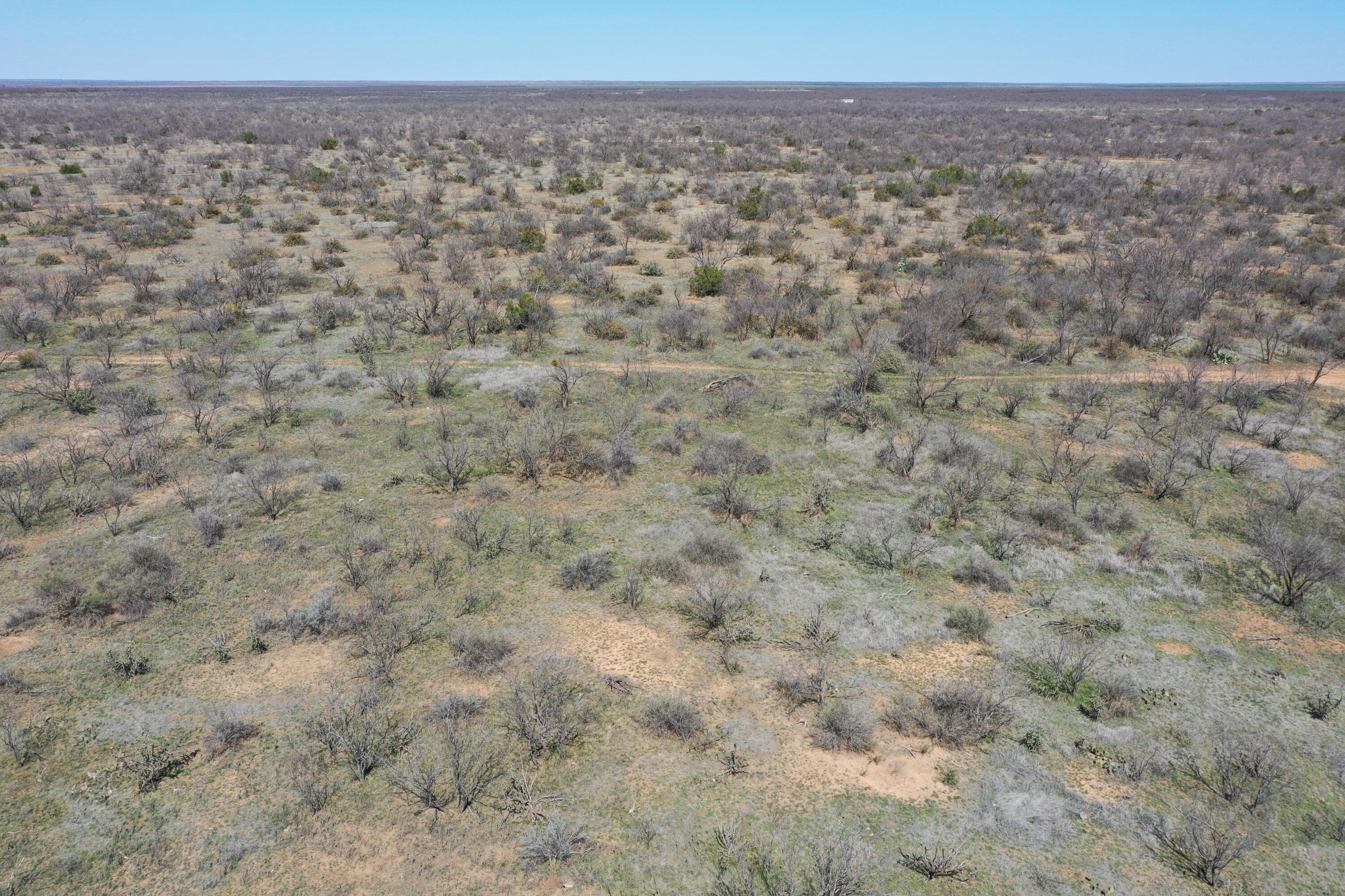 Lake Alan Henry 95 Ranch, Lubbock, Texas image 23