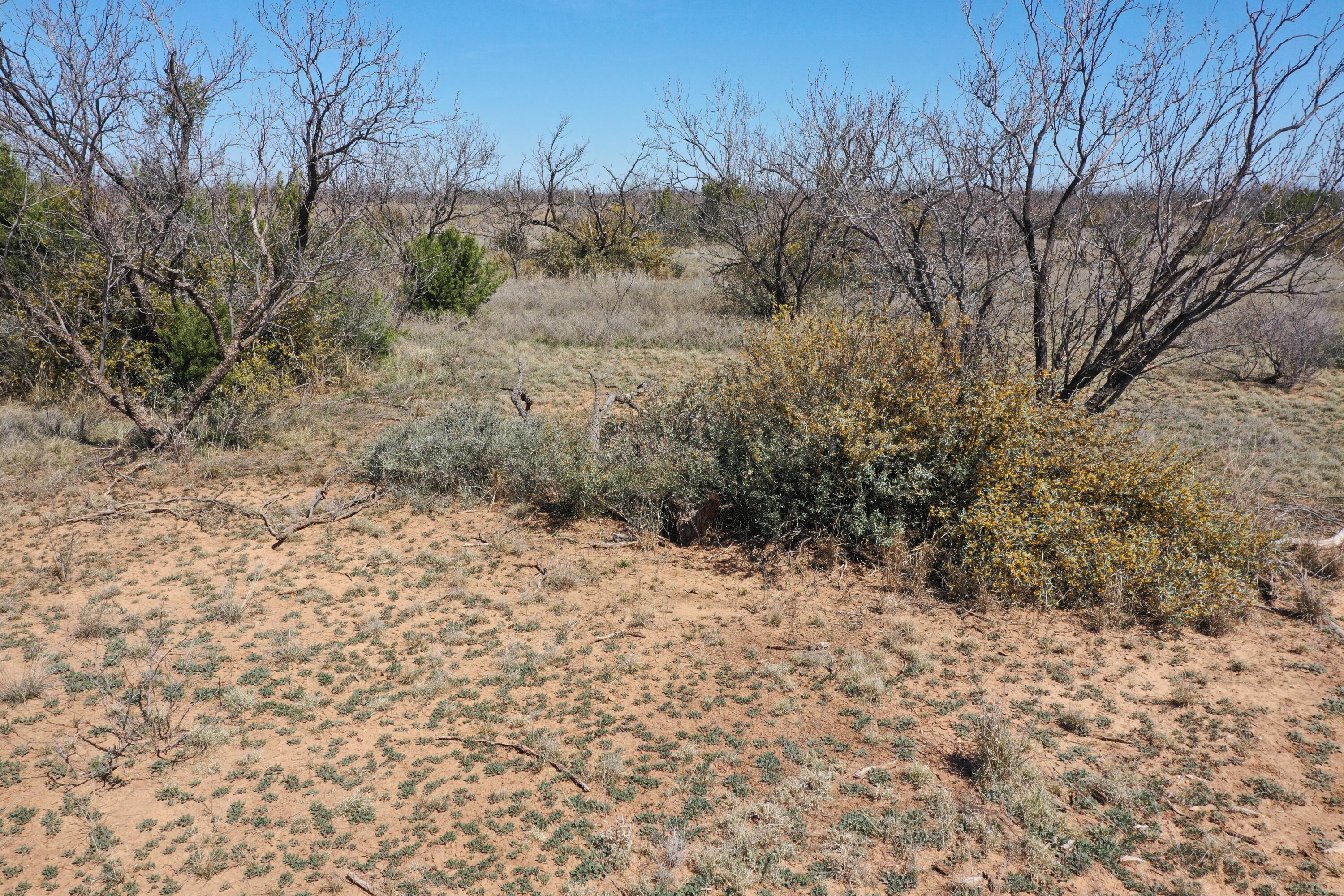 Lake Alan Henry 95 Ranch, Lubbock, Texas image 20