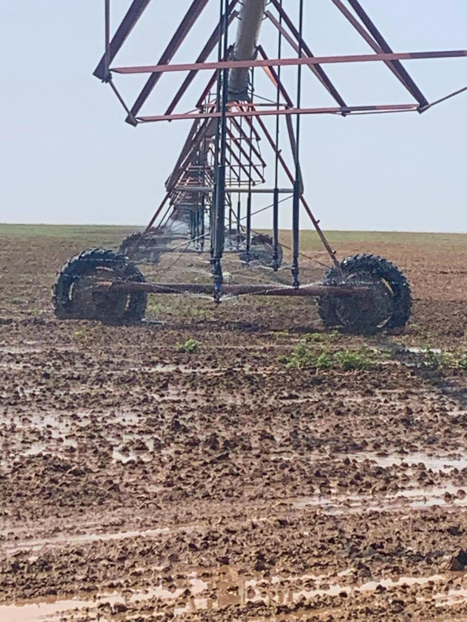 Farm, Channing, Texas image 8