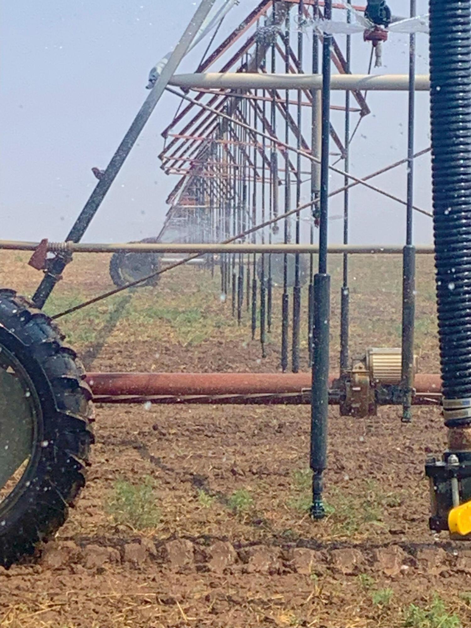 Farm, Channing, Texas image 7