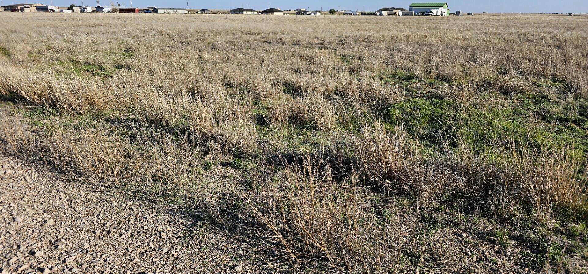 W S Fm 1258 Lake, Amarillo, Texas image 3