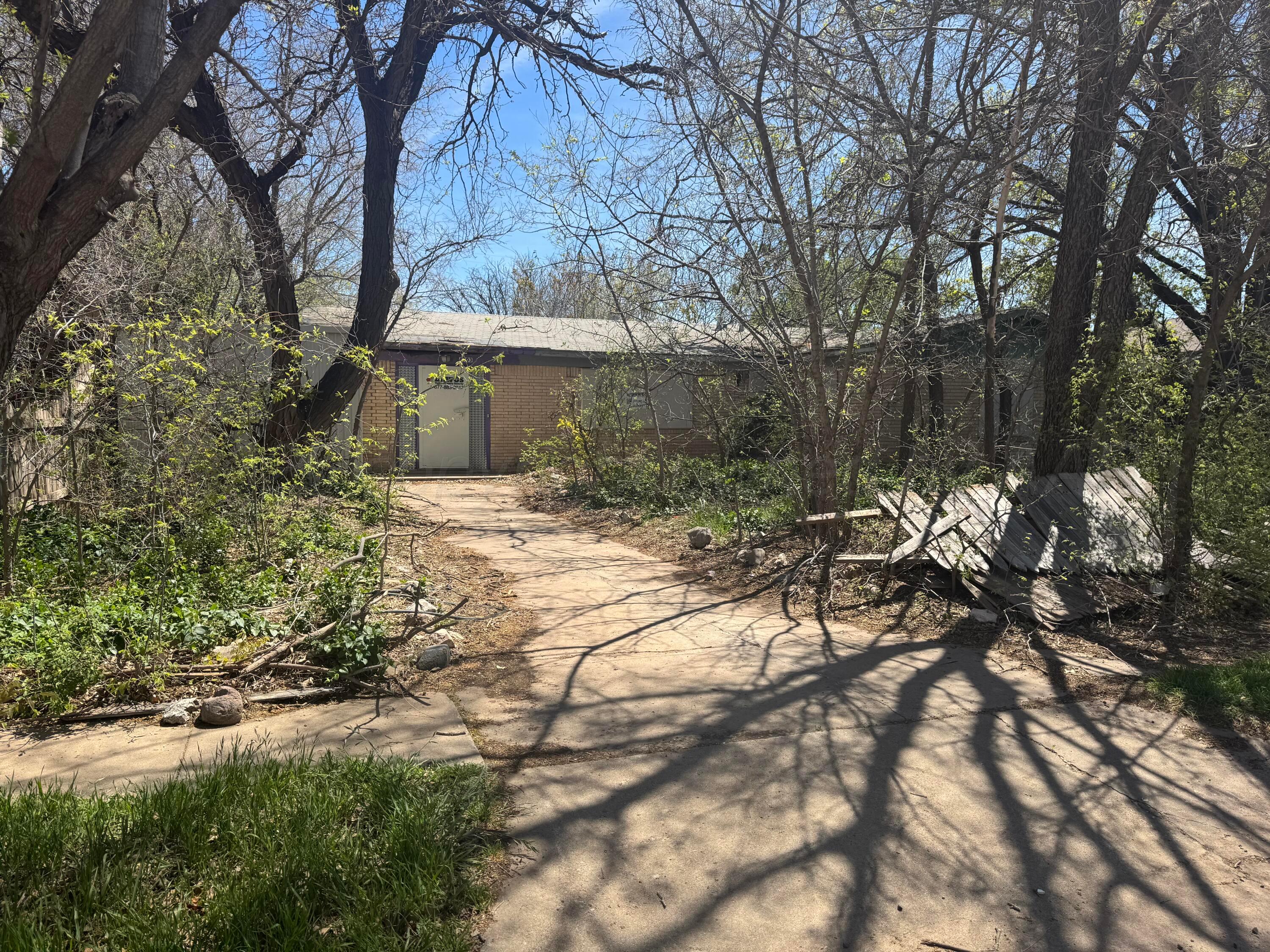 4703 Goodnight Trail, Amarillo, Alaska image 2