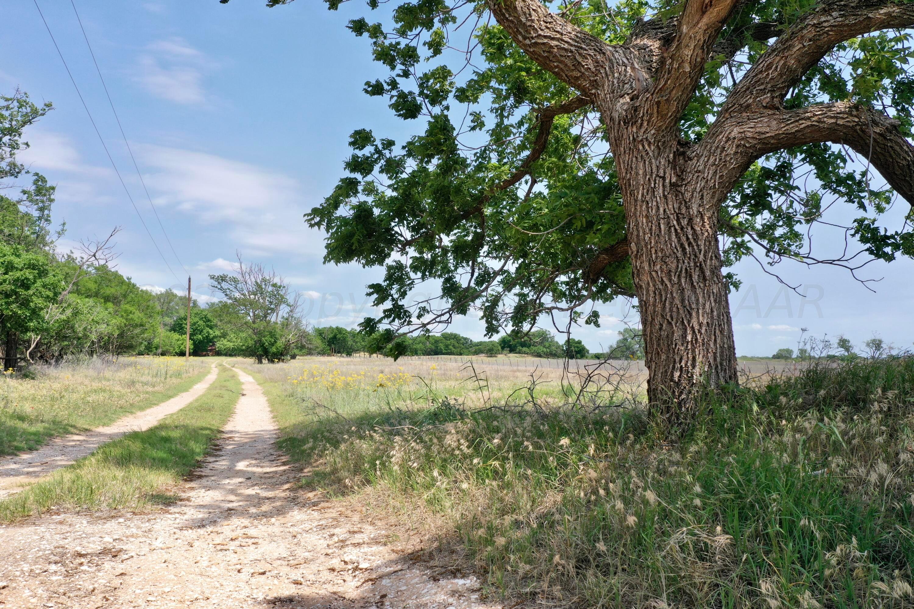 7394 Cr 15, Shamrock, Texas image 2