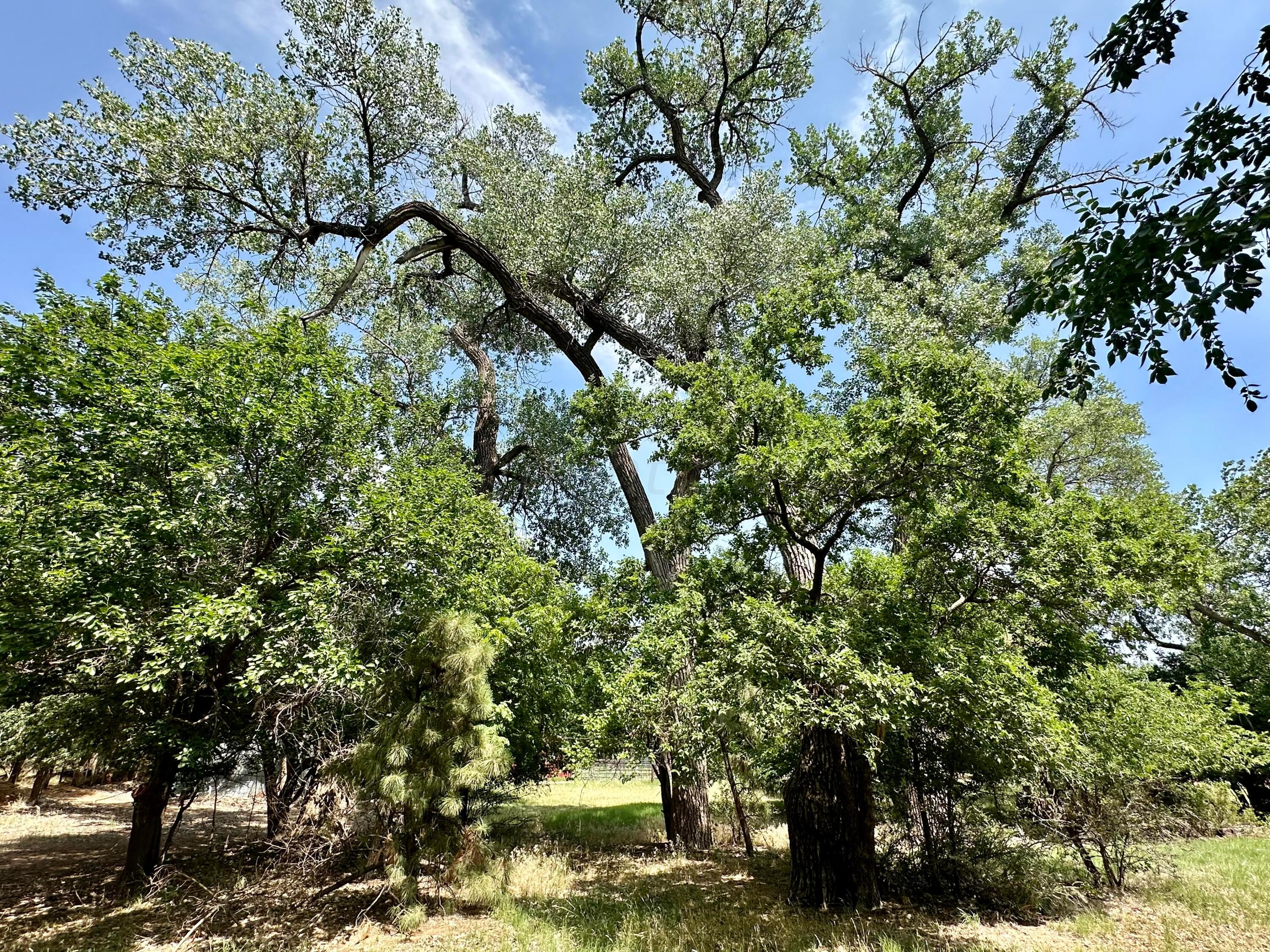 7394 Cr 15, Shamrock, Texas image 43