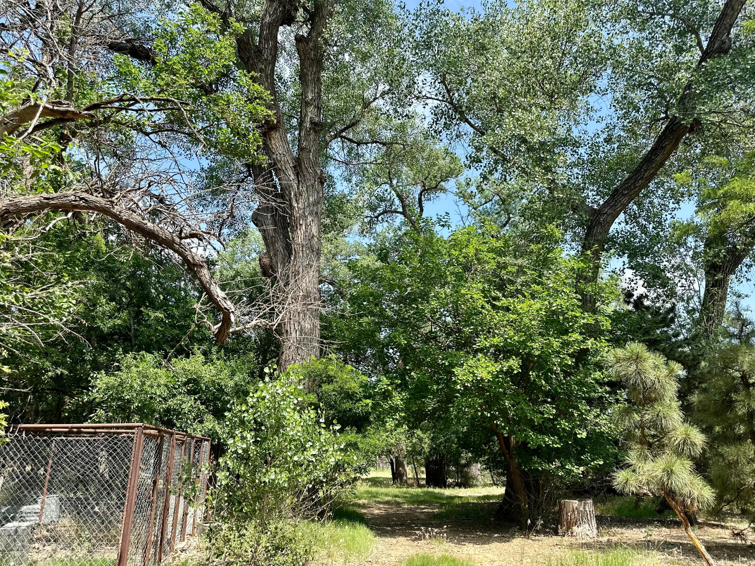 7394 Cr 15, Shamrock, Texas image 41