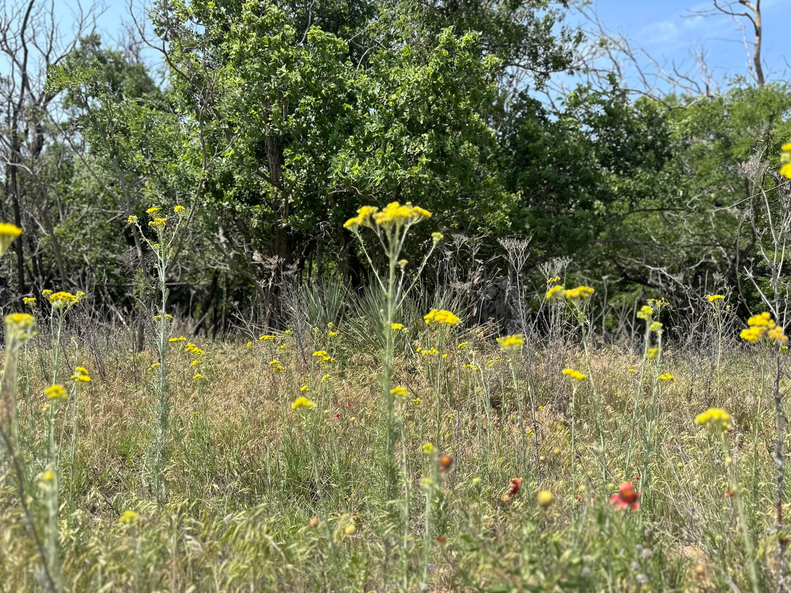 7394 Cr 15, Shamrock, Texas image 34