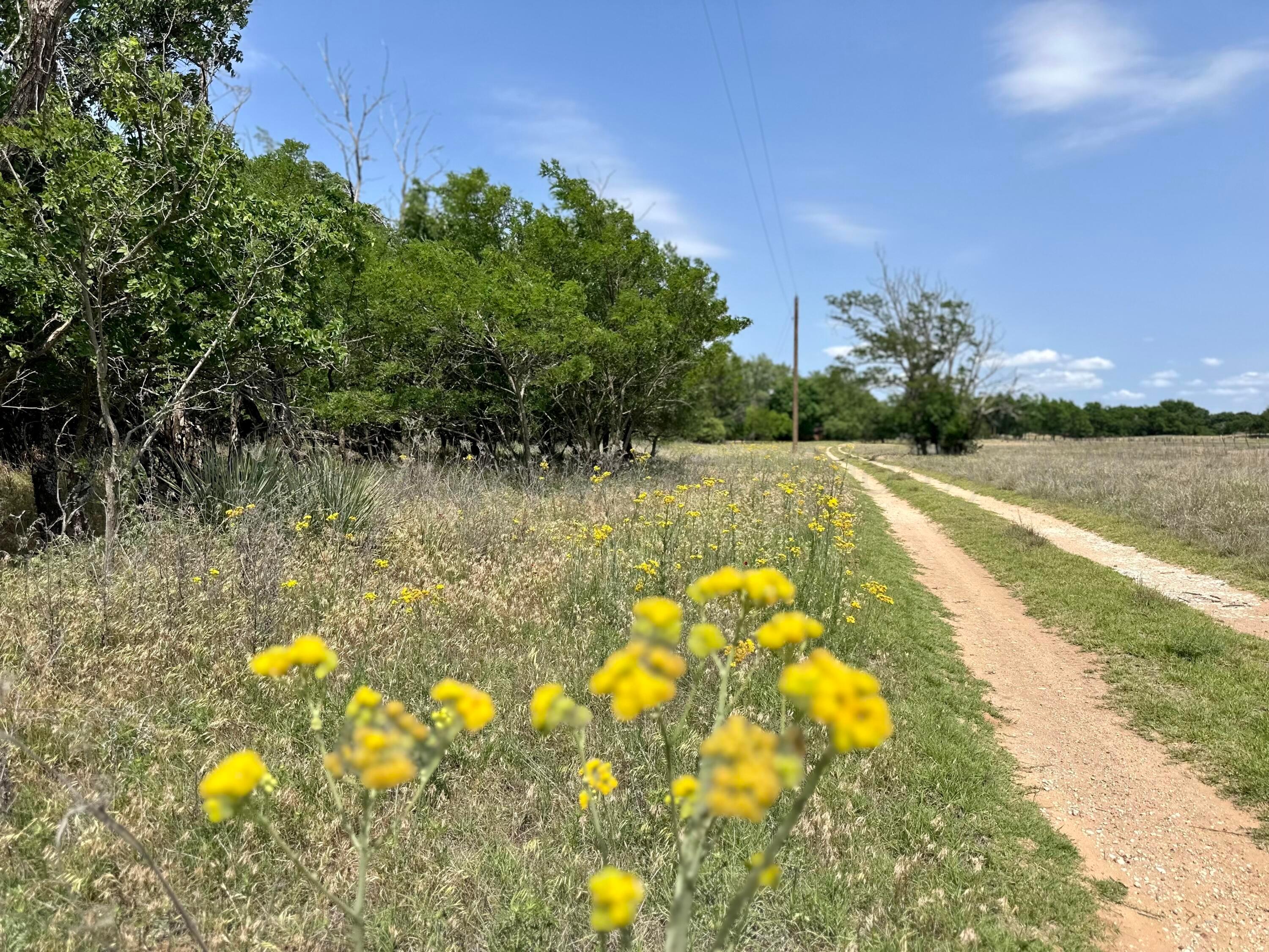 7394 Cr 15, Shamrock, Texas image 33