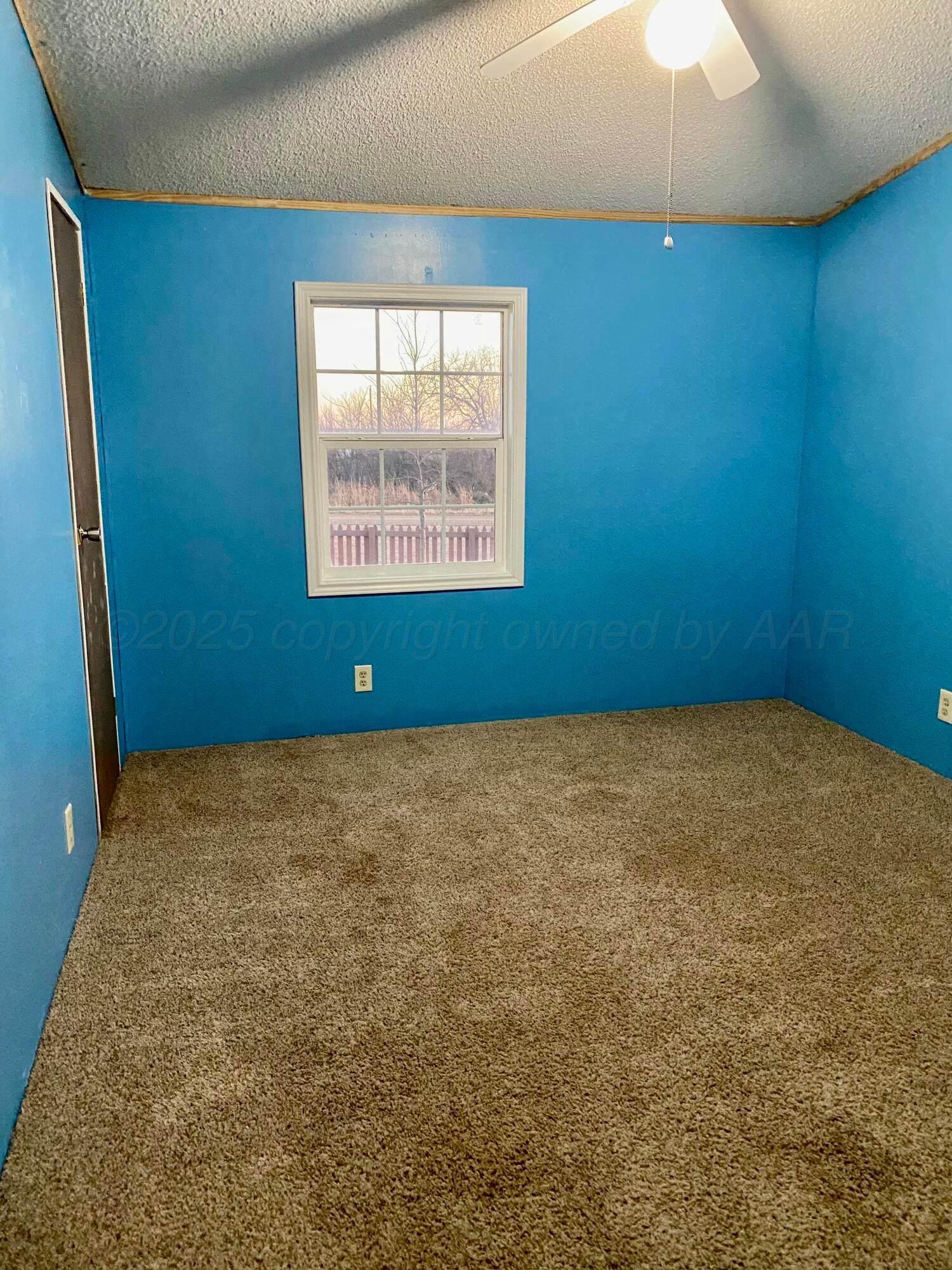 116 Buffalo Drive, Sanford, Texas image 19