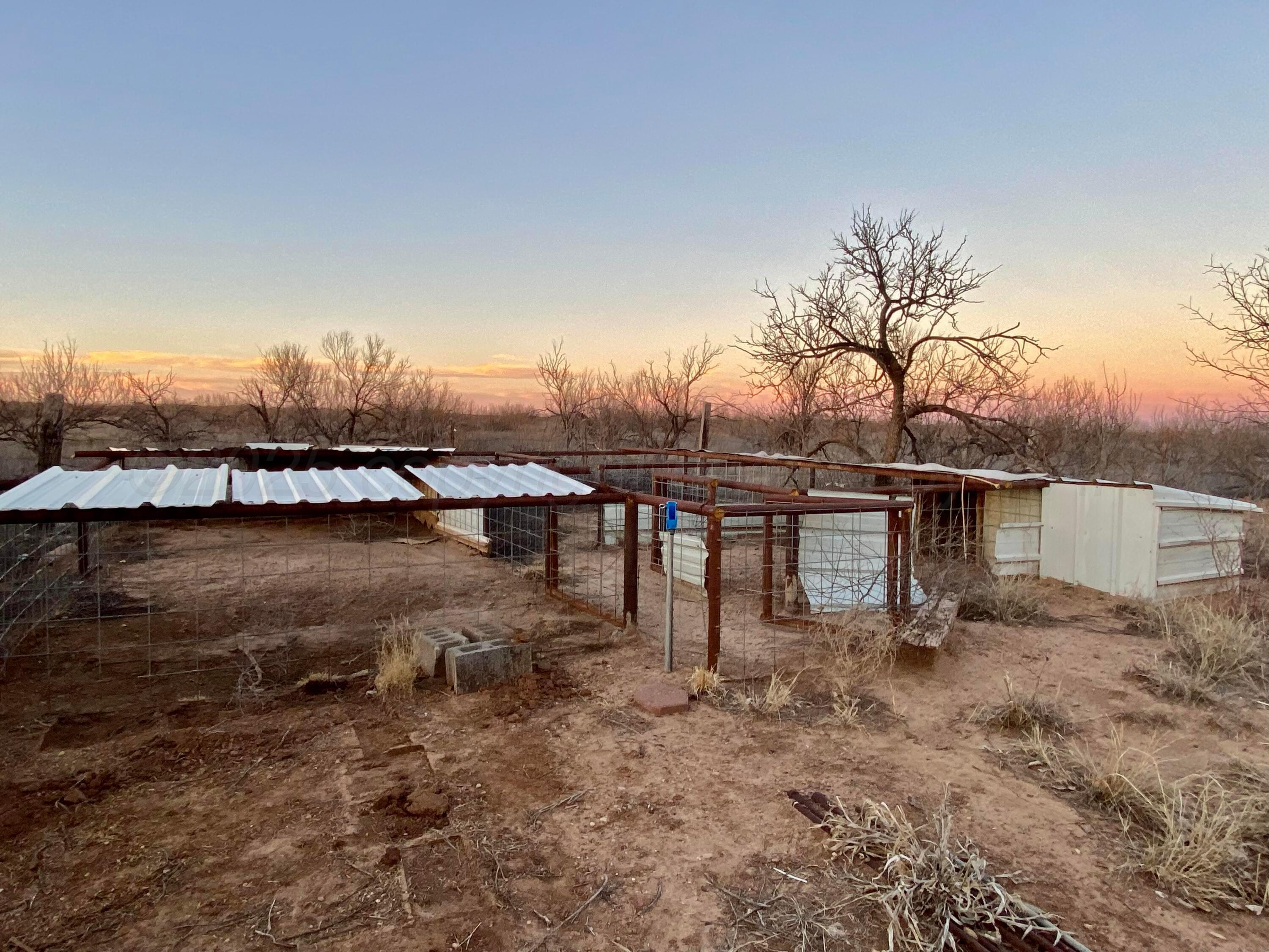 116 Buffalo Drive, Sanford, Texas image 8